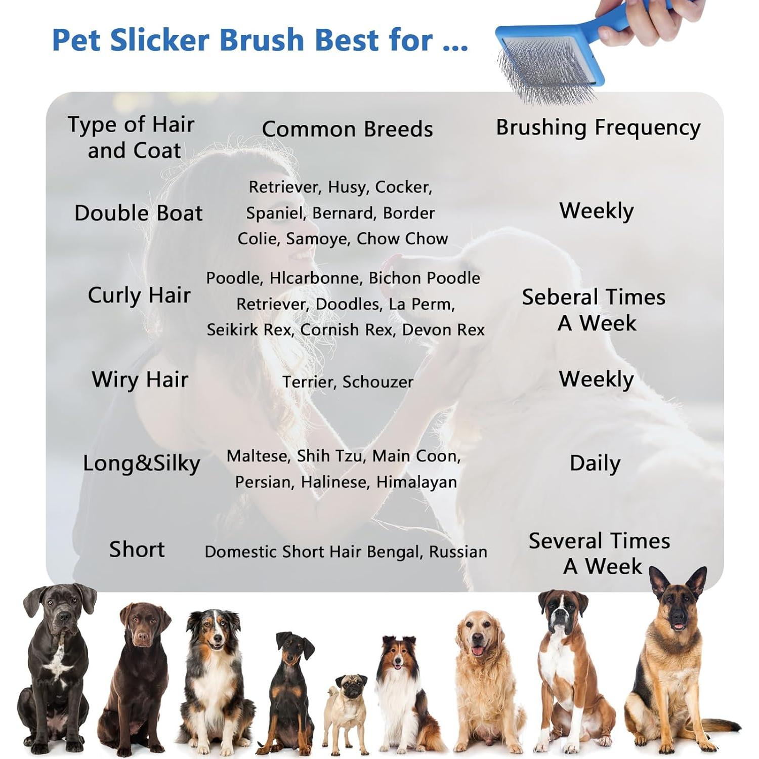 Cepillo Desenredante Ergonómico para Perros Werduoland Azul