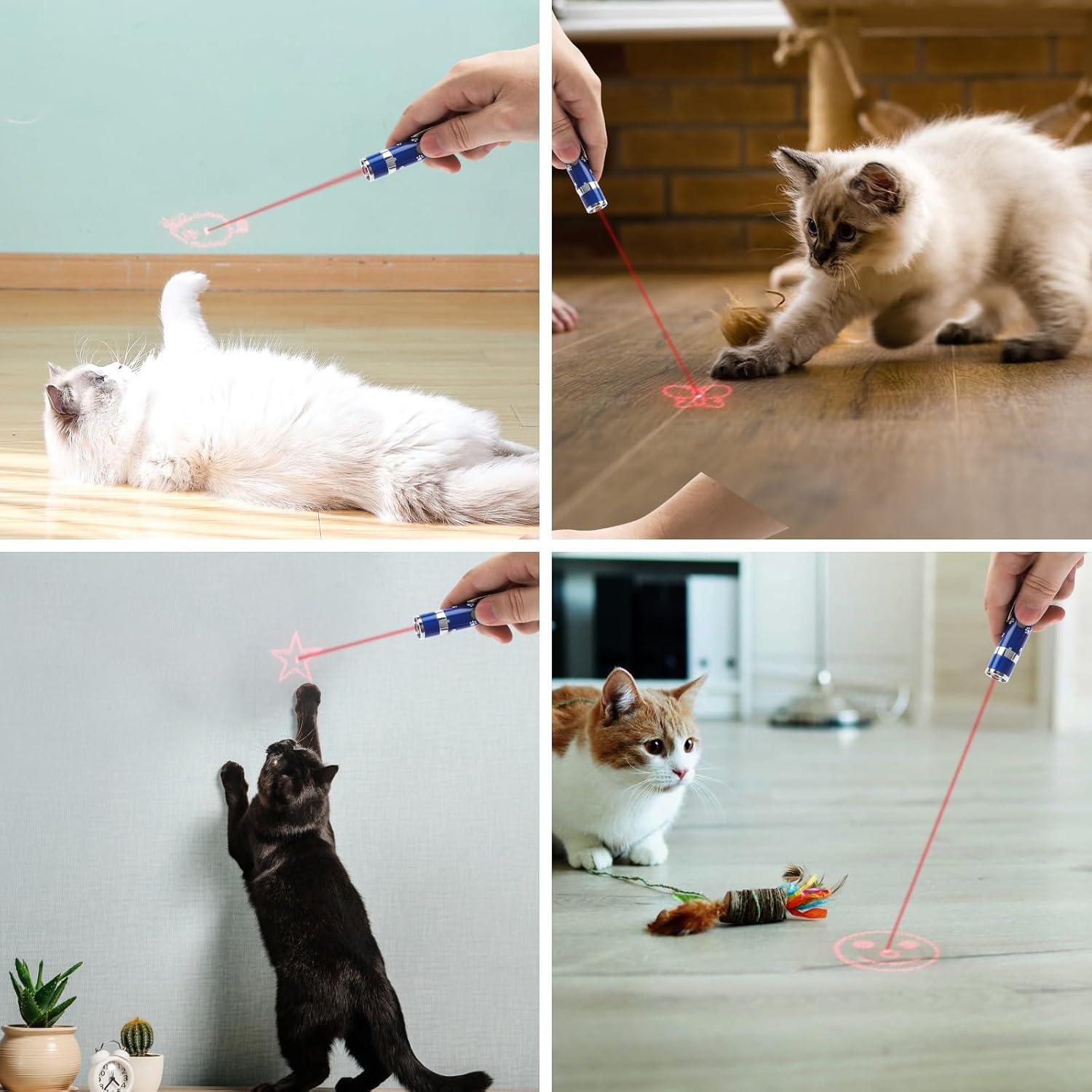 Juguete Interactivo para Gatos EAWONGEE 2 Piezas Azul