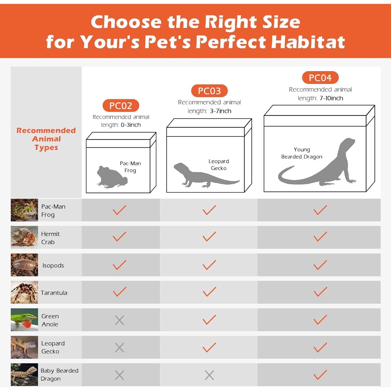 Terrario Pequeño AZV para Reptiles con Accesorios 30.48x22.86 cm