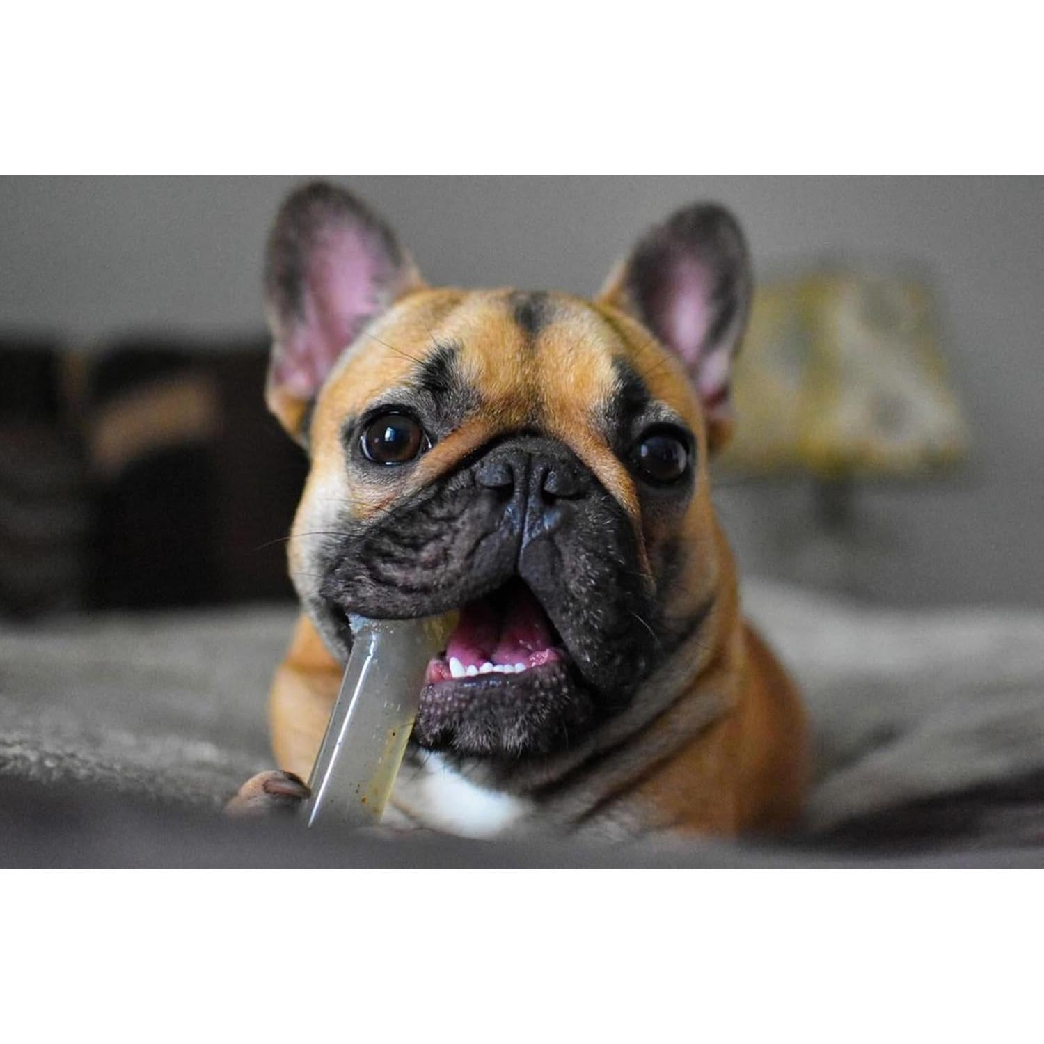 Hueso Nylabone Flexi Chew Juguete Masticar Perros X-Pequeño