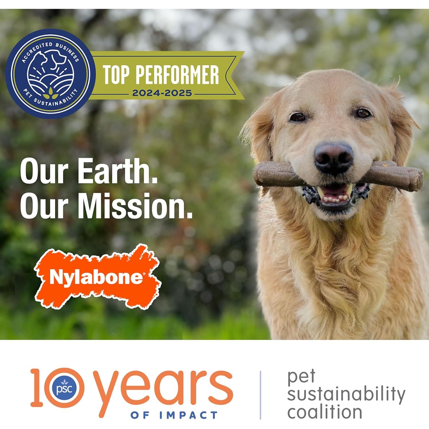 Hueso Nylabone Flexi Chew Juguete Masticar Perros X-Pequeño