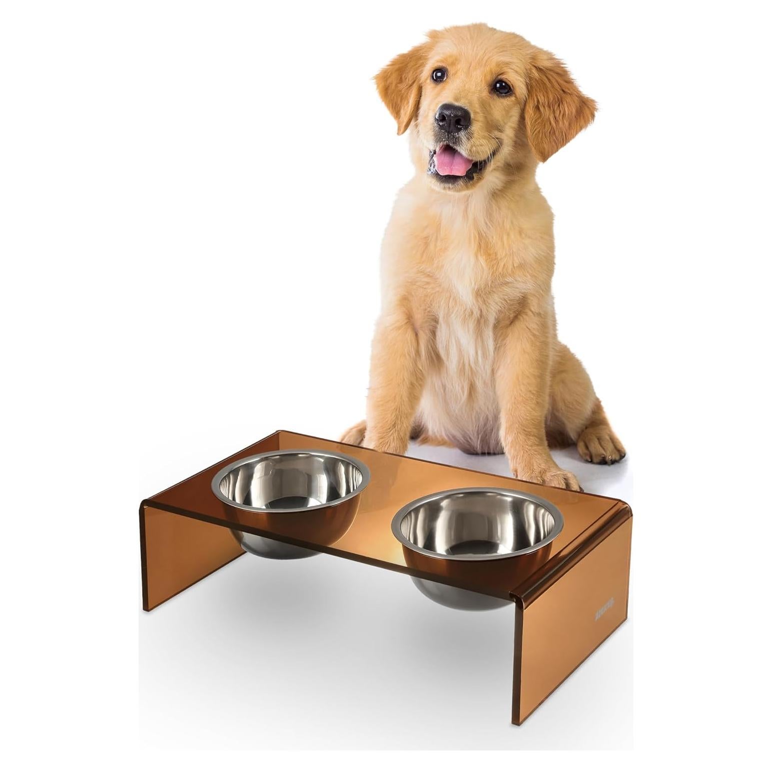 THE LICKER STORE DBL2000D Keaton 5" Small/Medium Modern Acrylic Rectangular Elevated Pet Feeder with 20oz 2-Stainless Steel Bowls, Amber/Chrome
