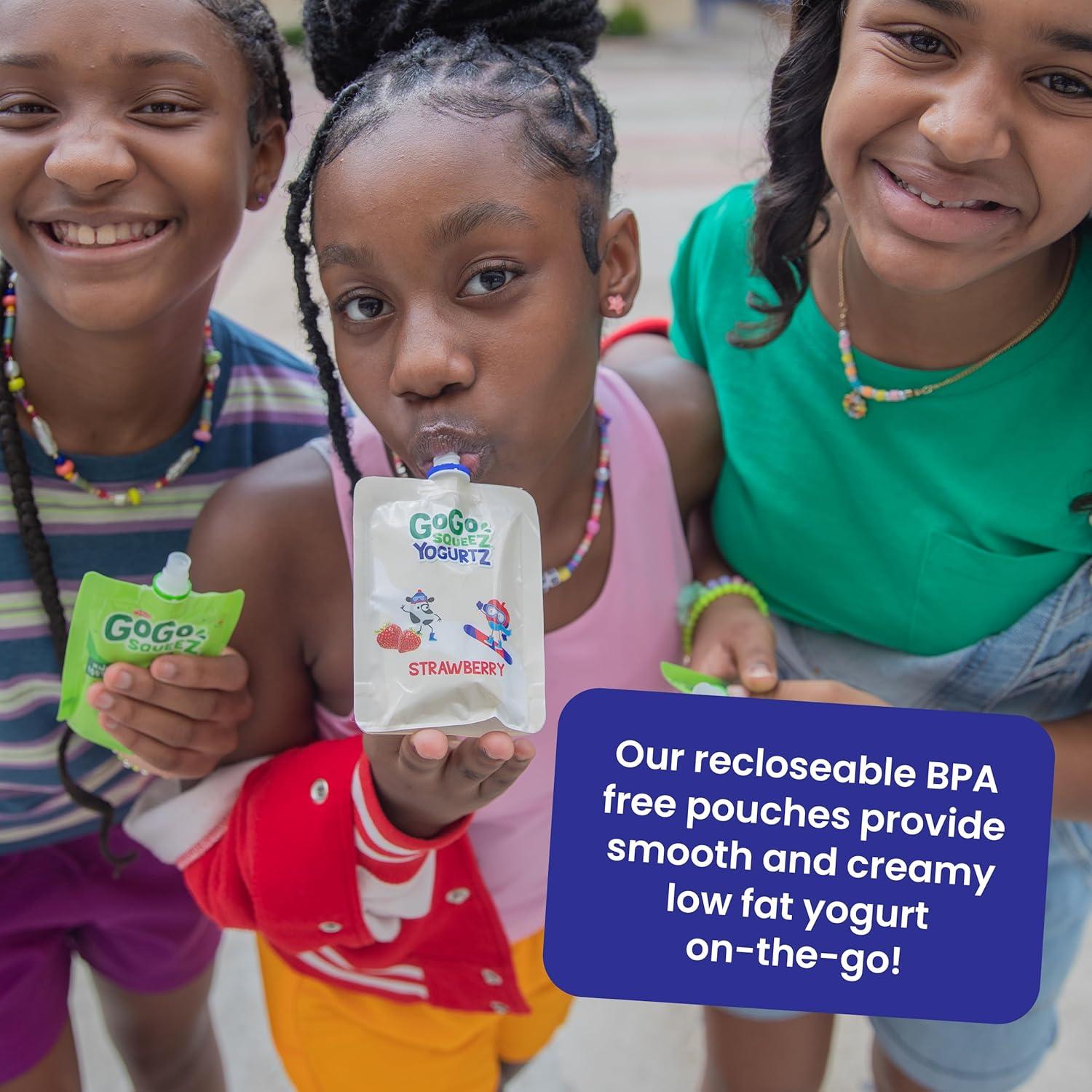 GoGo squeeZ yogurtZ 85 g Paquete de 20 Arándano y Frutos Rojos