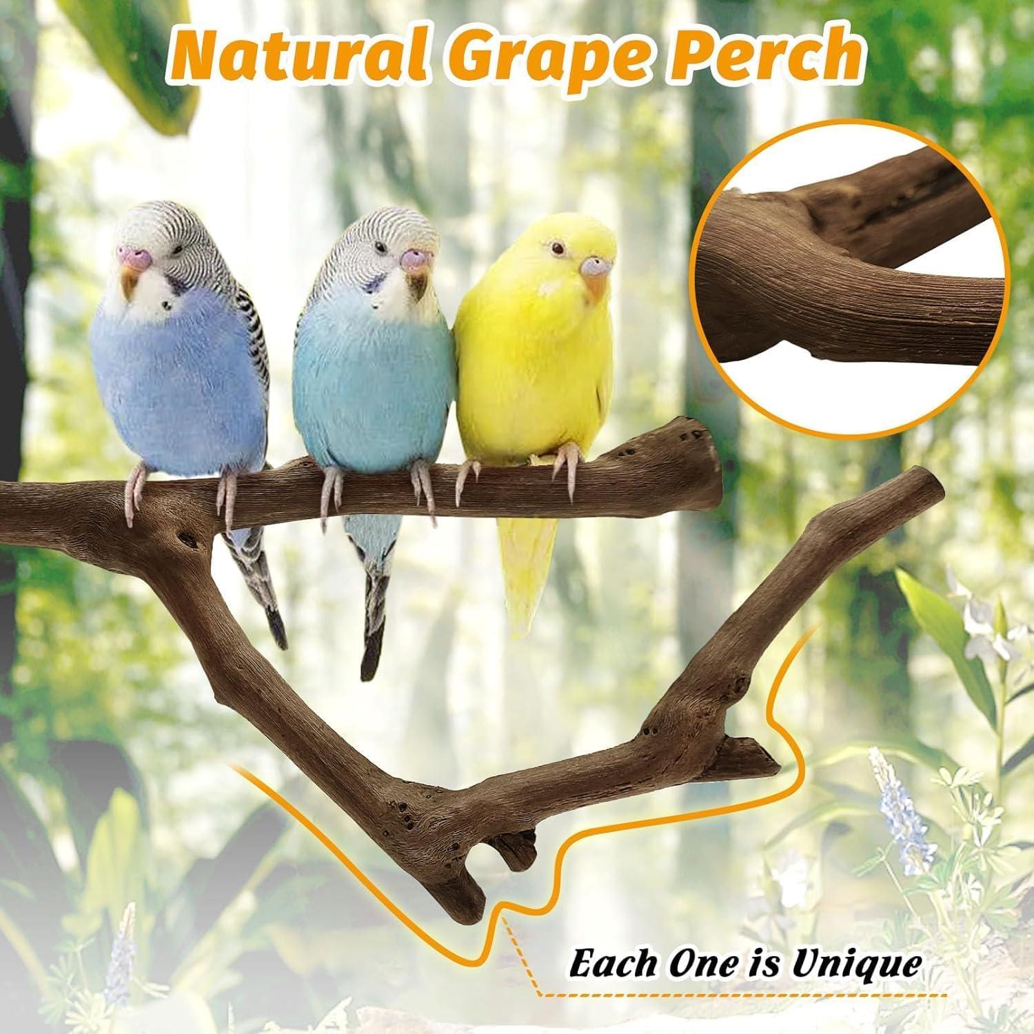 Percha Natural para Loro Kathson 22.86 cm Soporte Masticable