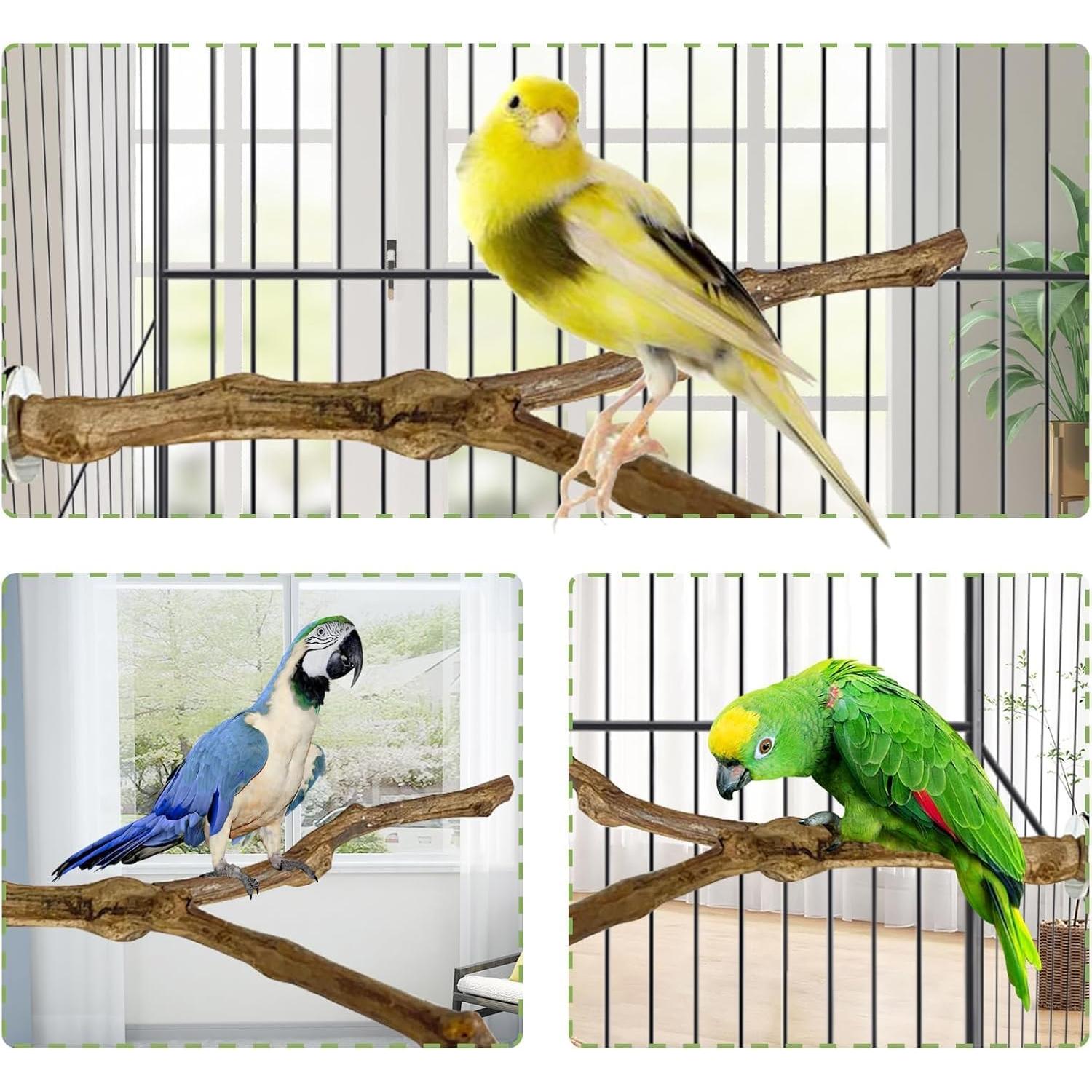 Percha Natural para Loro Kathson 22.86 cm Soporte Masticable