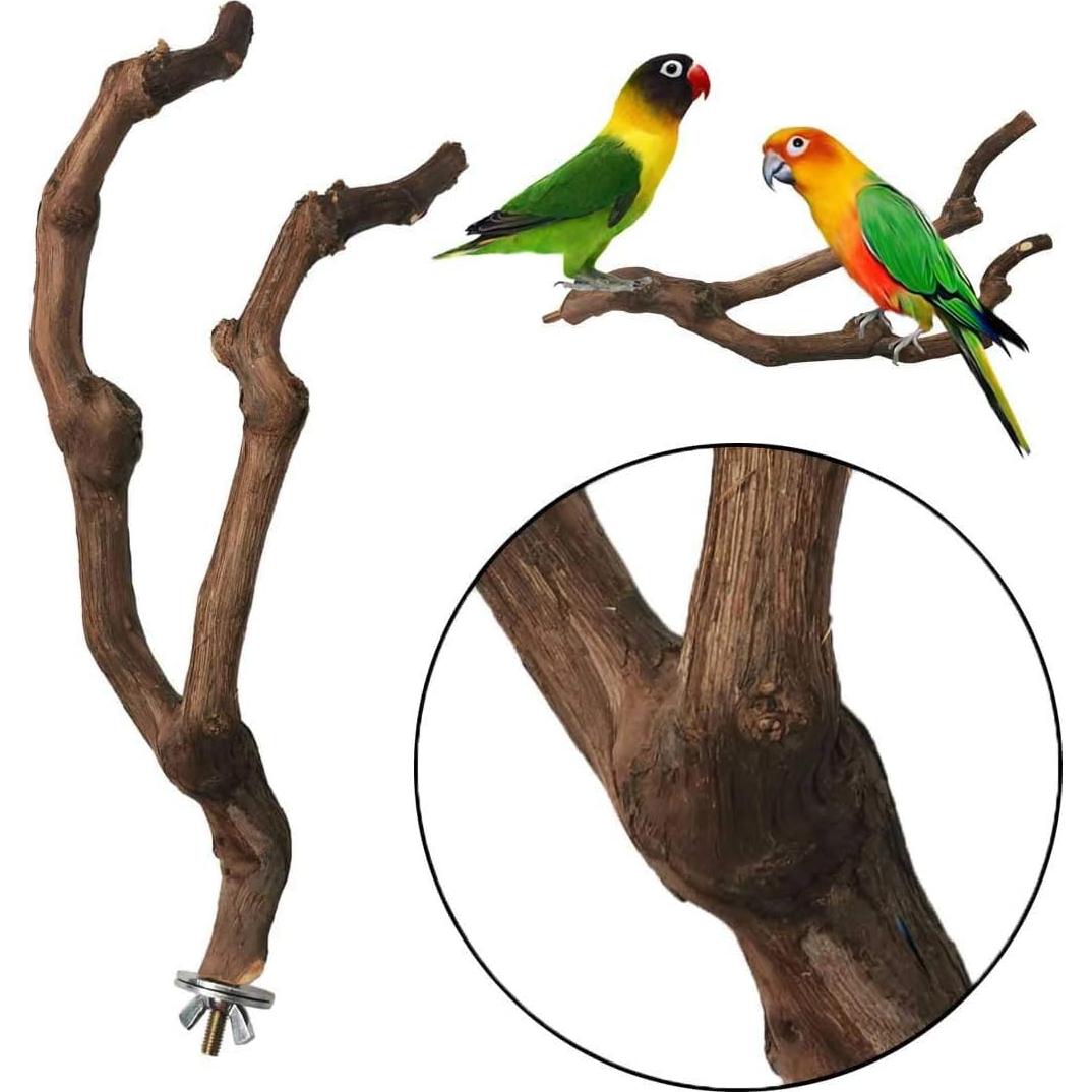 Percha Natural para Loro Kathson 22.86 cm Soporte Masticable