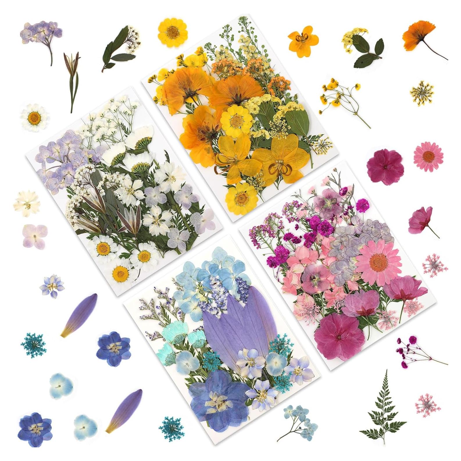 Flores Secas Presionadas LUXEEASE 110P para Manualidades