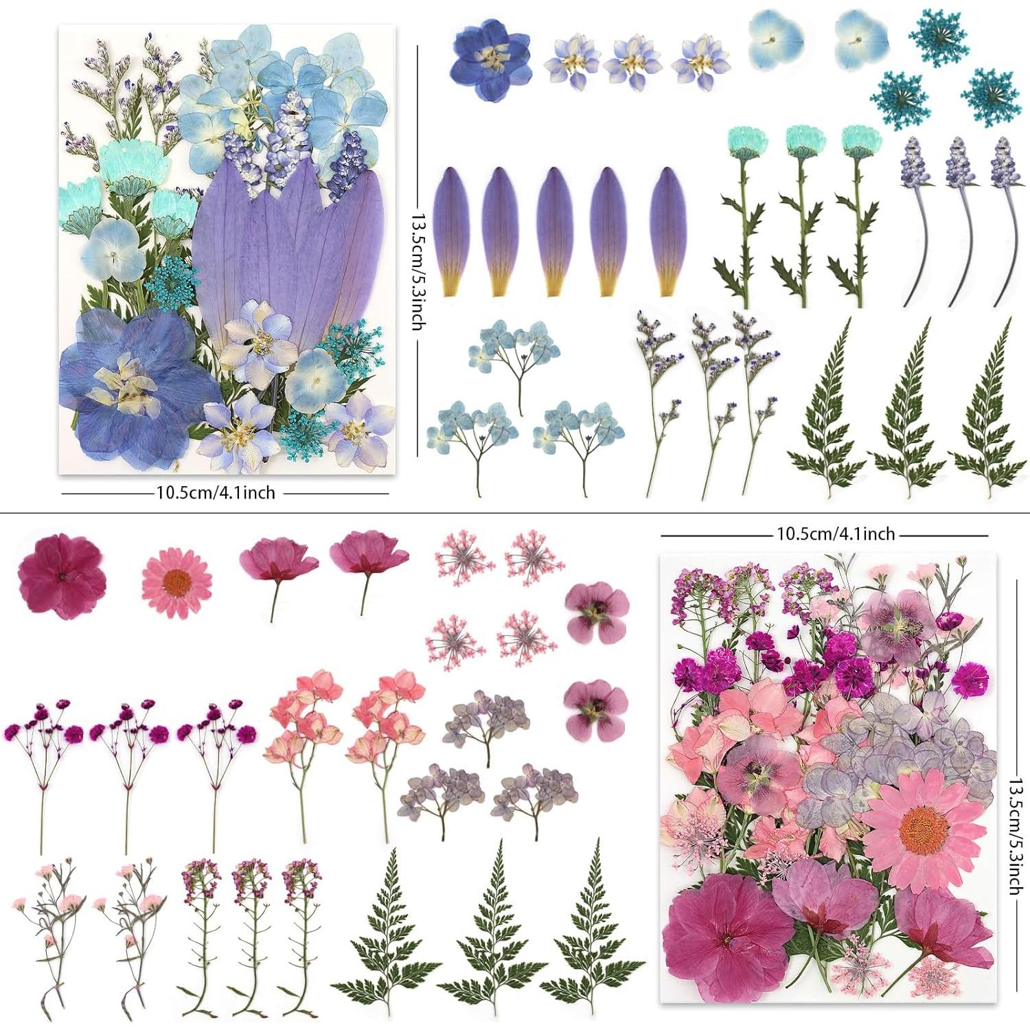 Flores Secas Presionadas LUXEEASE 110P para Manualidades