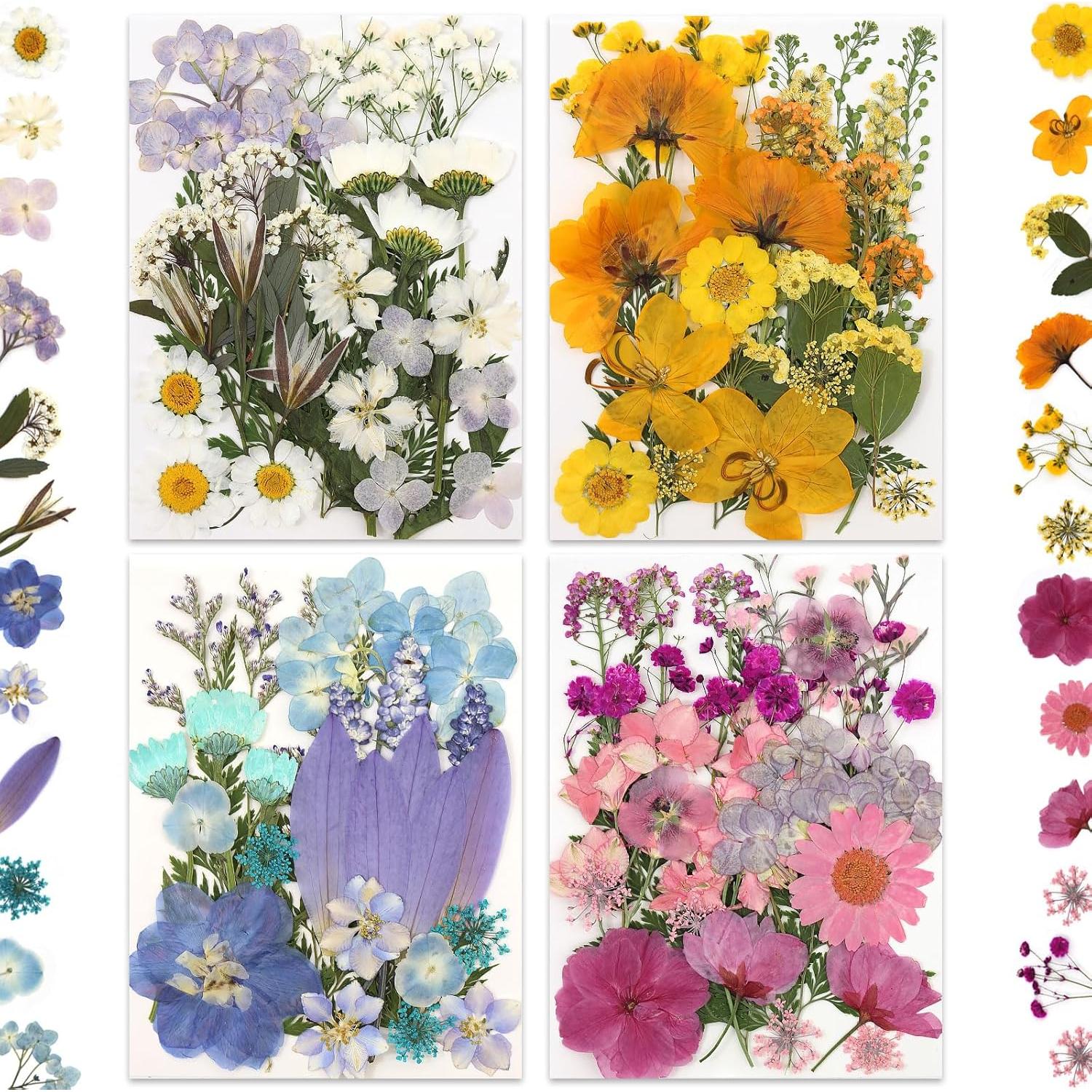 Flores Secas Presionadas LUXEEASE 110P para Manualidades