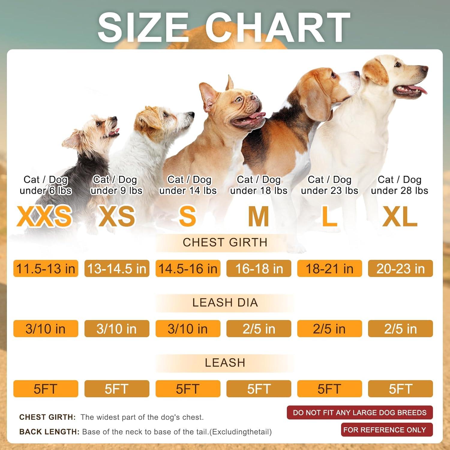 BEAUTYZOO Arnés y Correa para Perros Pequeños Beige XXS