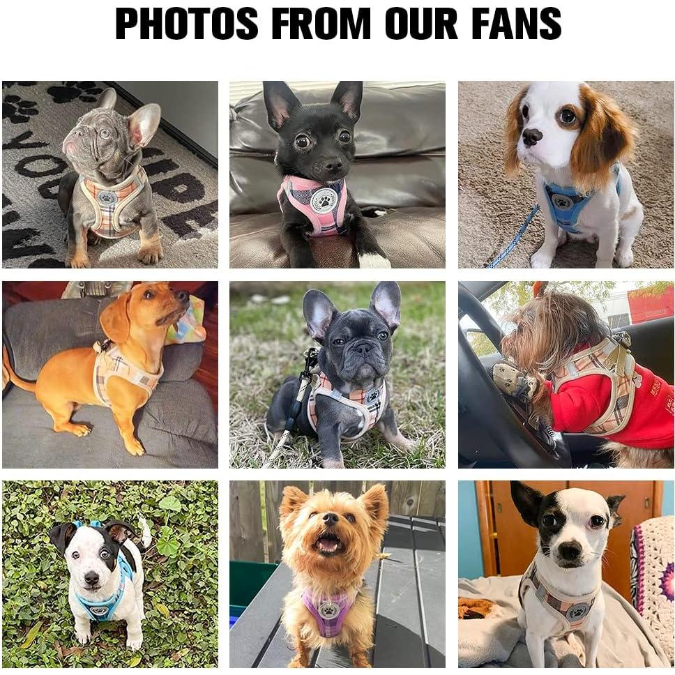 BEAUTYZOO Arnés y Correa para Perros Pequeños Beige XXS