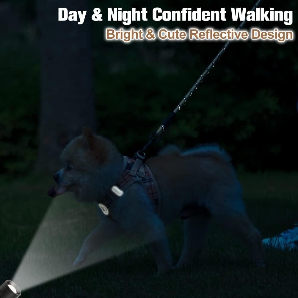 BEAUTYZOO Arnés y Correa para Perros Pequeños Beige XXS