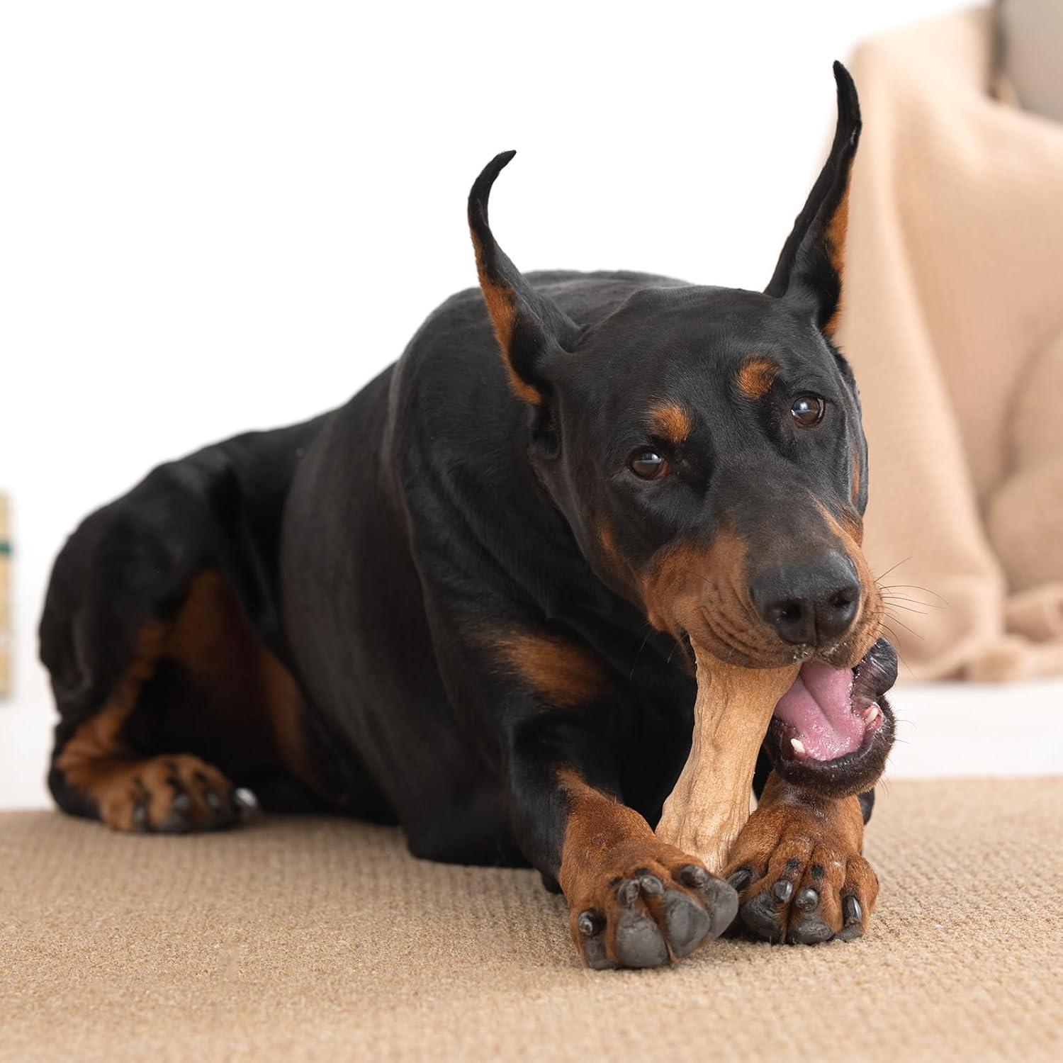 Juguete Indestructible para Perros Willjoy - Madera y Nylon, Sabor a Tocino