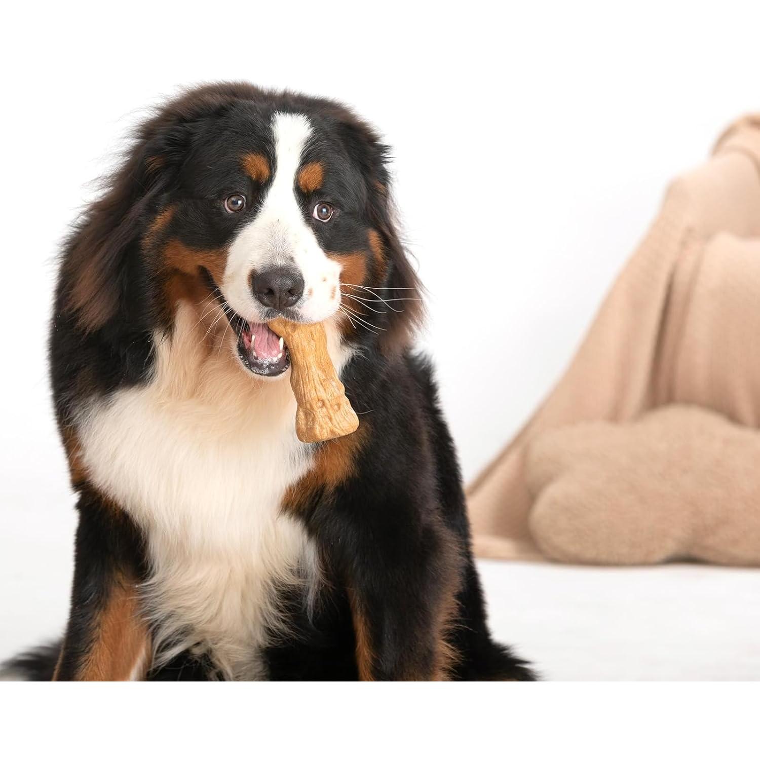 Juguete Indestructible para Perros Willjoy - Madera y Nylon, Sabor a Tocino