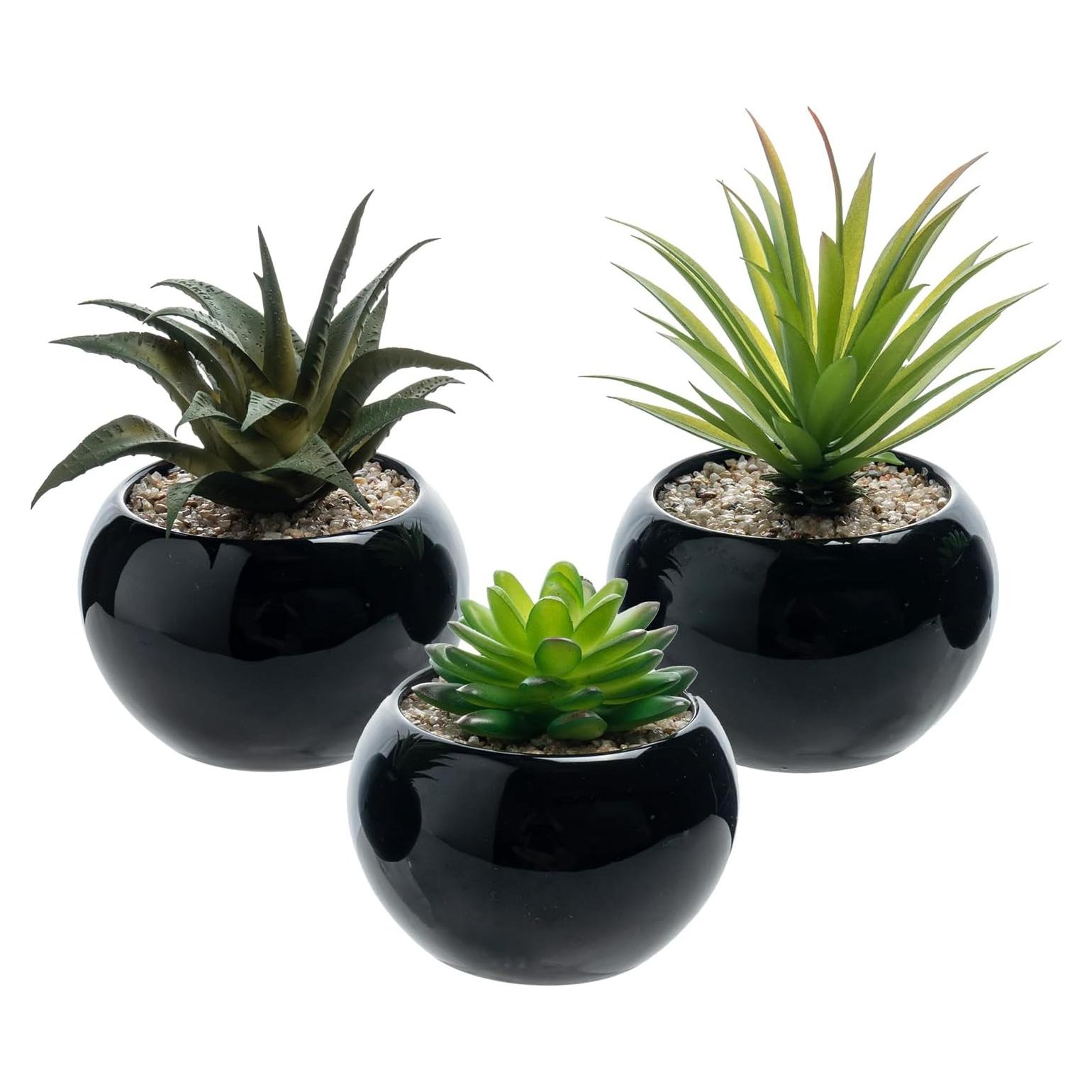 Set de 3 Mini Suculentas Artificiales MyGift en Macetas Cerámicas Negras