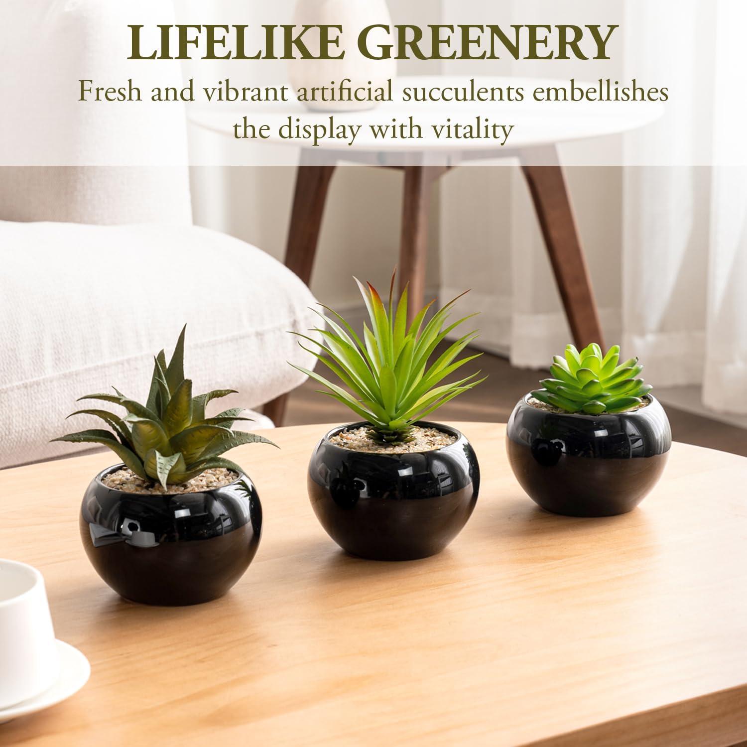Set de 3 Mini Suculentas Artificiales MyGift en Macetas Cerámicas Negras