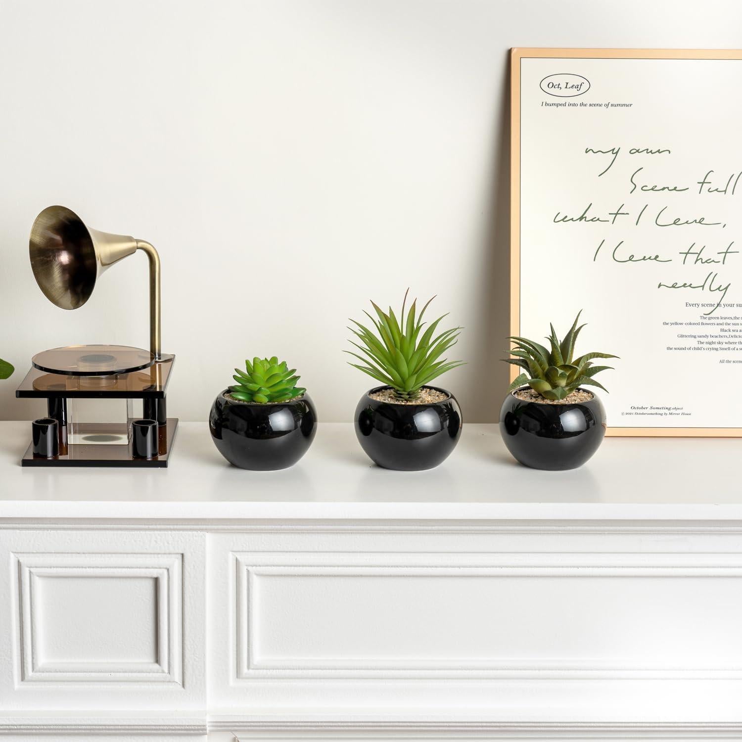 Set de 3 Mini Suculentas Artificiales MyGift en Macetas Cerámicas Negras