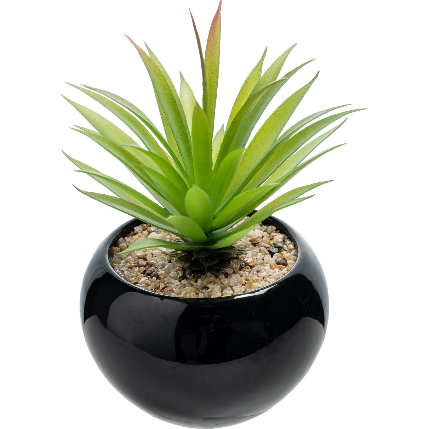 Set de 3 Mini Suculentas Artificiales MyGift en Macetas Cerámicas Negras