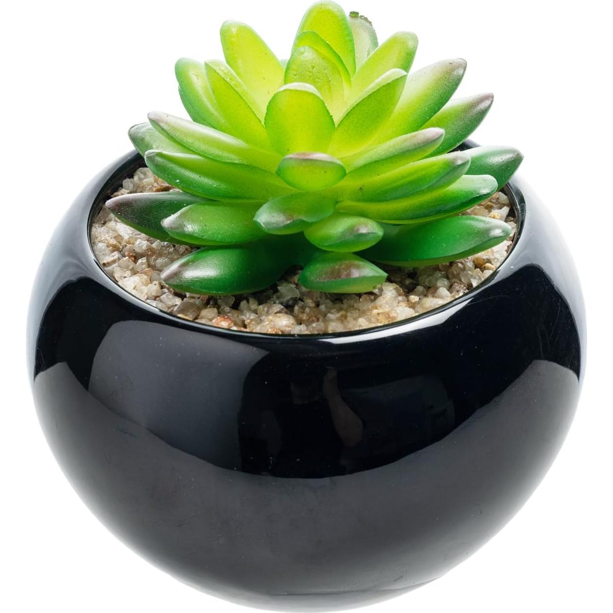 Set de 3 Mini Suculentas Artificiales MyGift en Macetas Cerámicas Negras