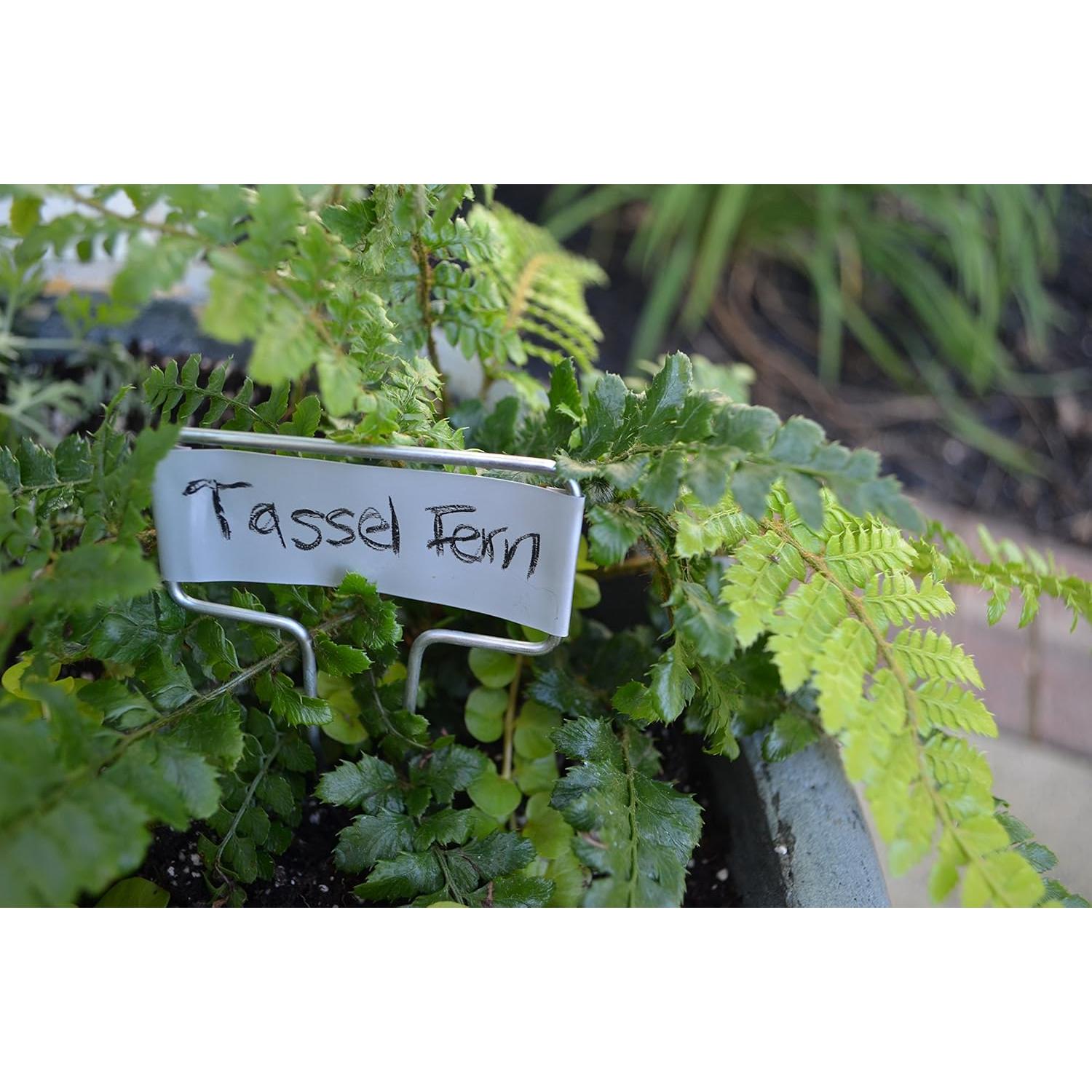 Marcador de Planta de Zinc Bosmere 5 cm Alto - Paquete de 20