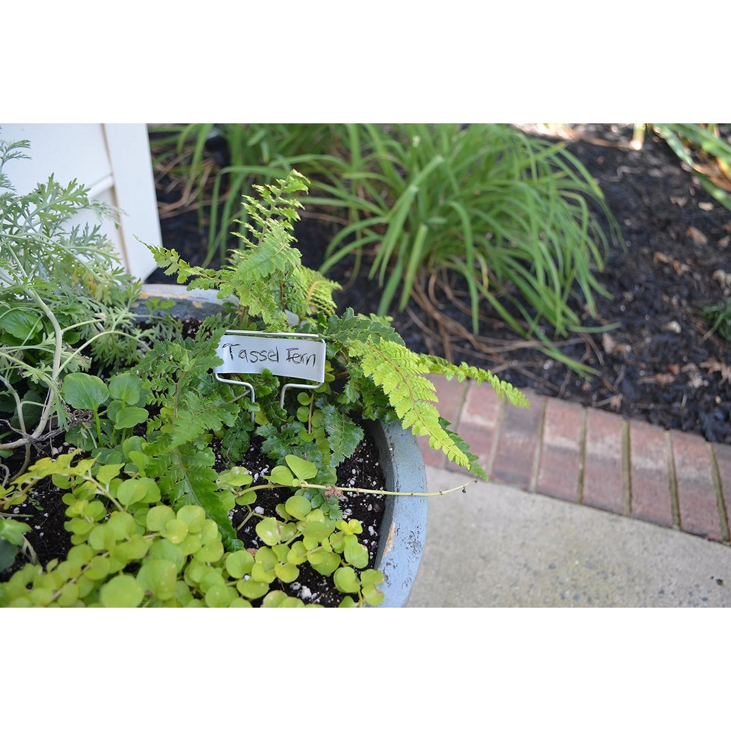 Marcador de Planta de Zinc Bosmere 5 cm Alto - Paquete de 20