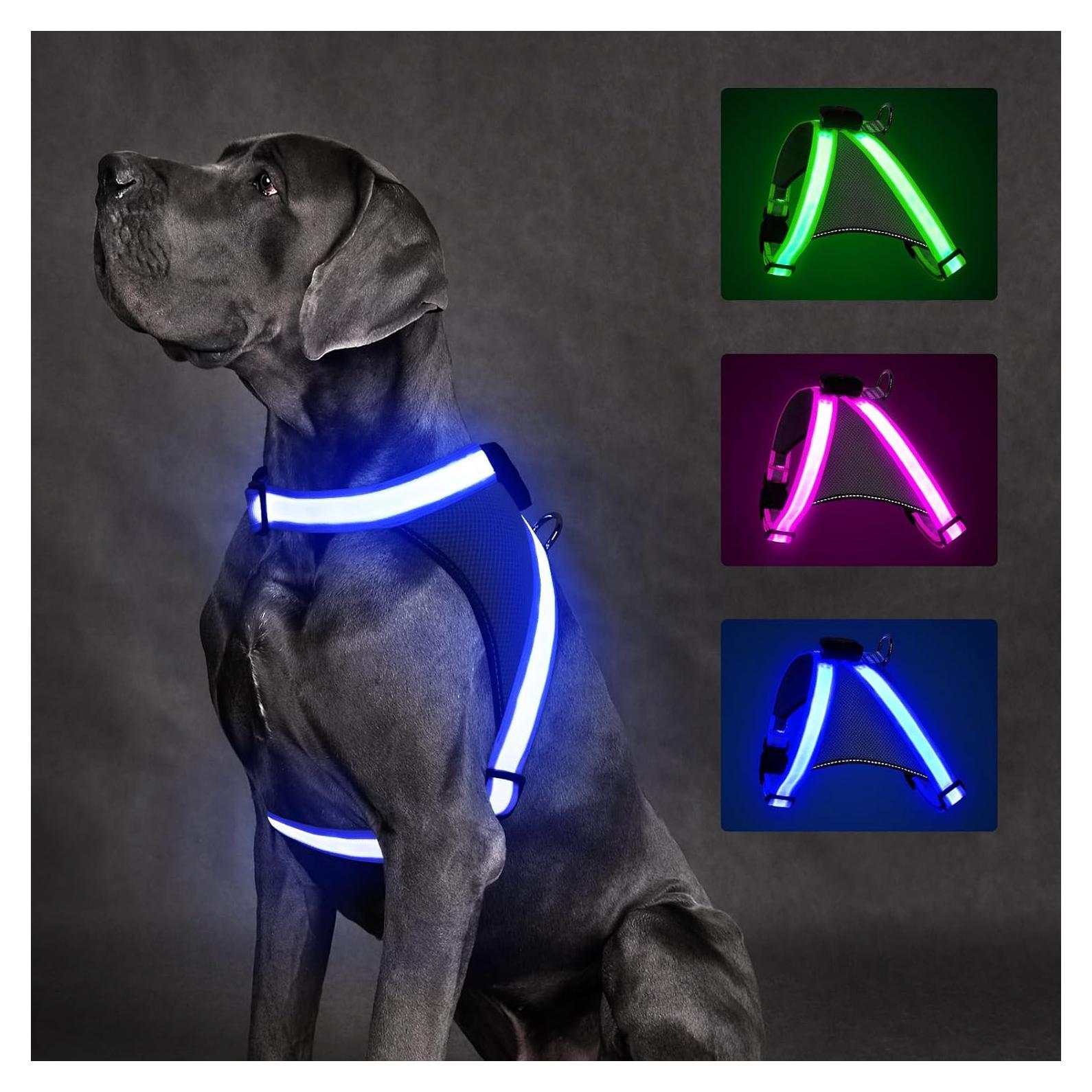 Arnés LED ChalkLit para Perros Pequeños Azul, Recargable USB