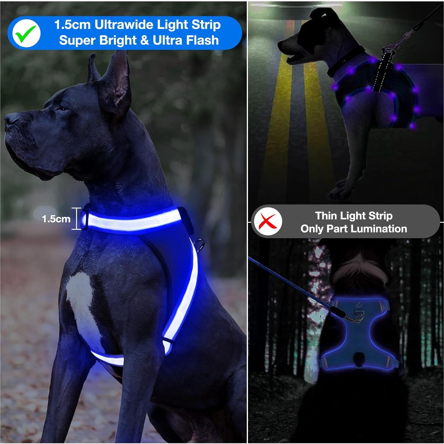 Arnés LED ChalkLit para Perros Pequeños Azul, Recargable USB