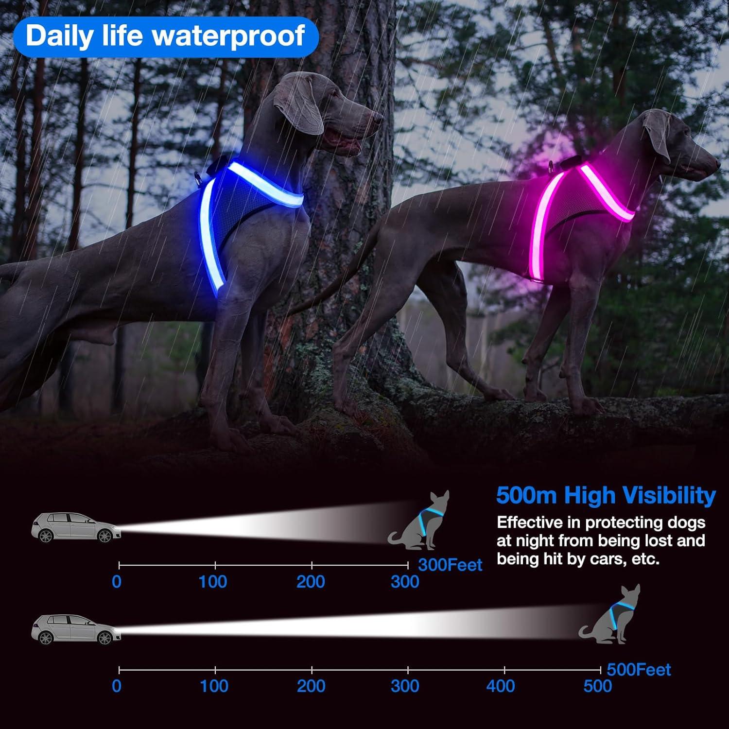 Arnés LED ChalkLit para Perros Pequeños Azul, Recargable USB