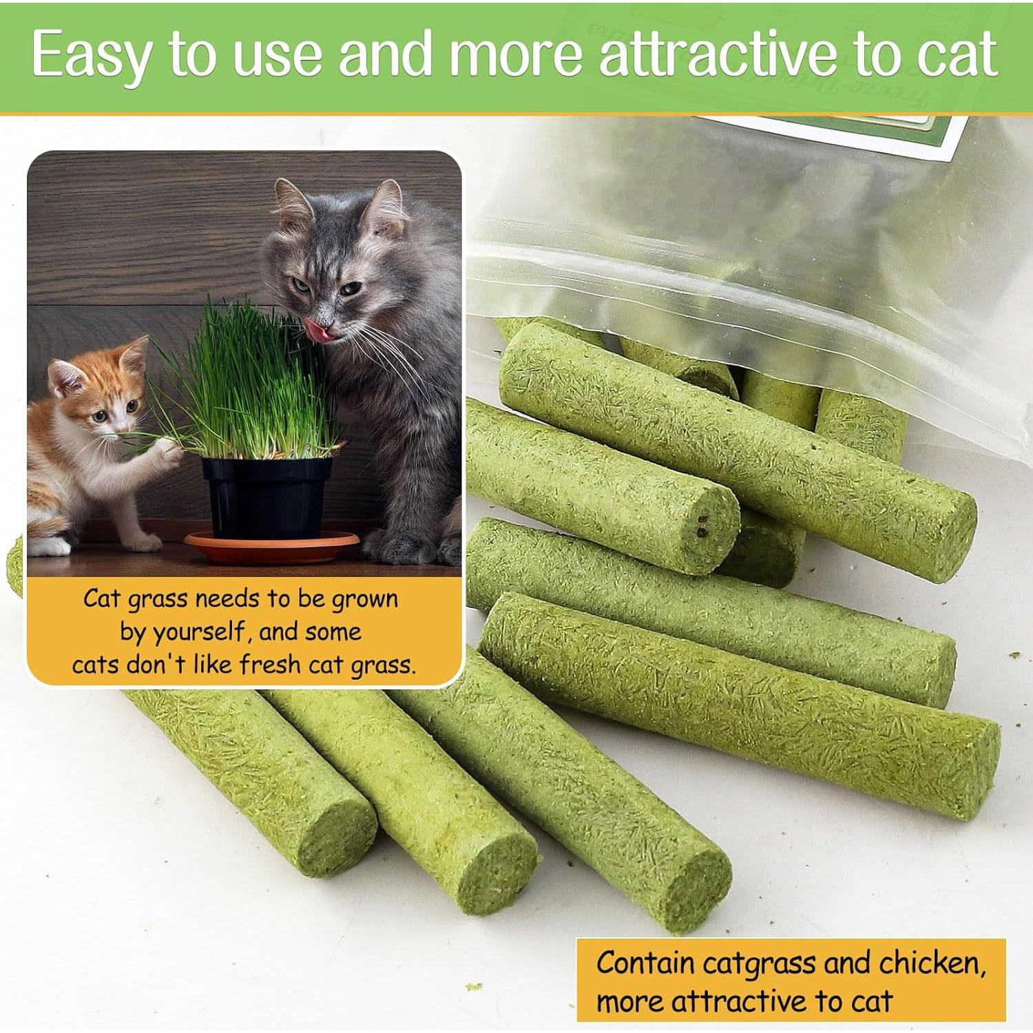 Palito de Hierba para Gatos HavenJanny 50g - Salud Dental y Bolas de Pelo