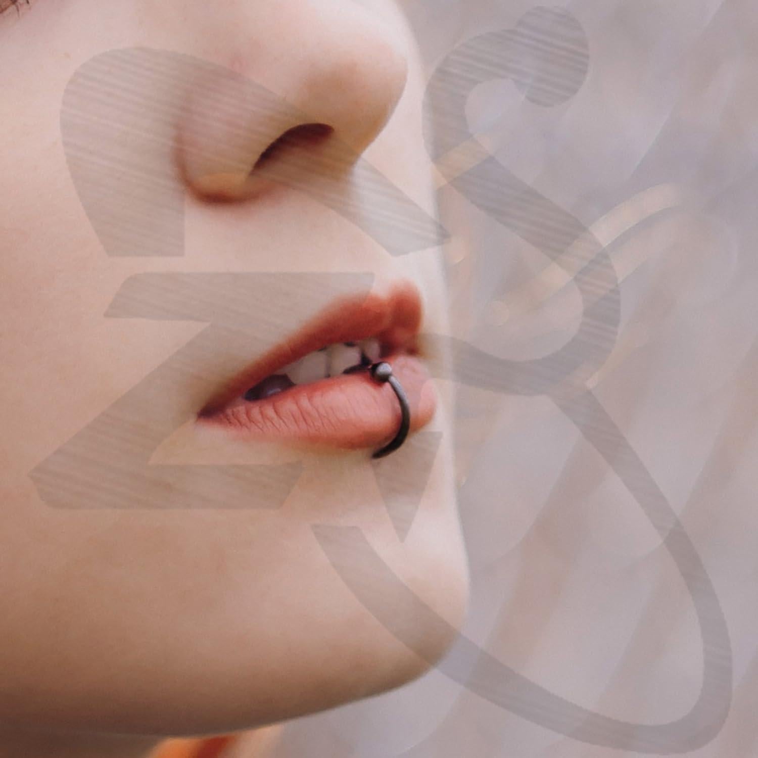 Anillo de Labio Falso ZS de Acero Inoxidable Ajustable
