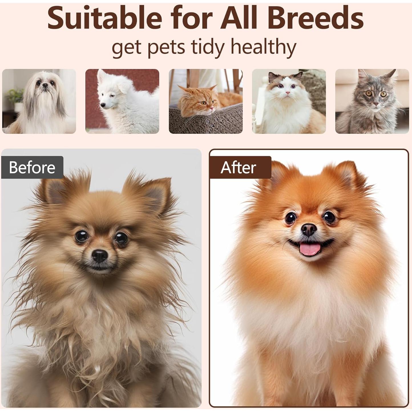 Cepillo de Aseo a Vapor L&W BROS. para Gatos y Perros Pequeños