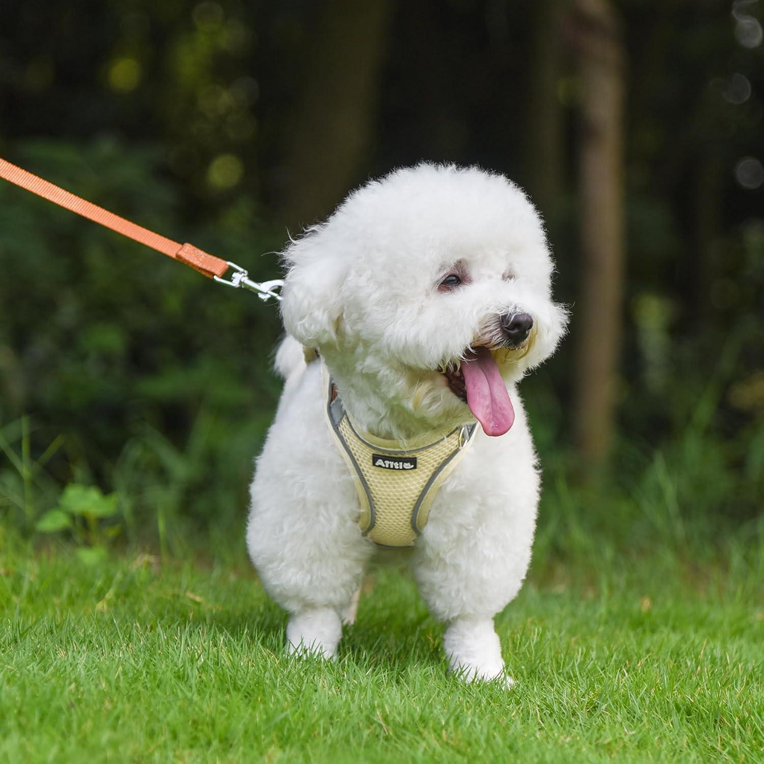 Arnés para Perros y Gatos AIITLE Beige XXXS Ajustable Reflectante