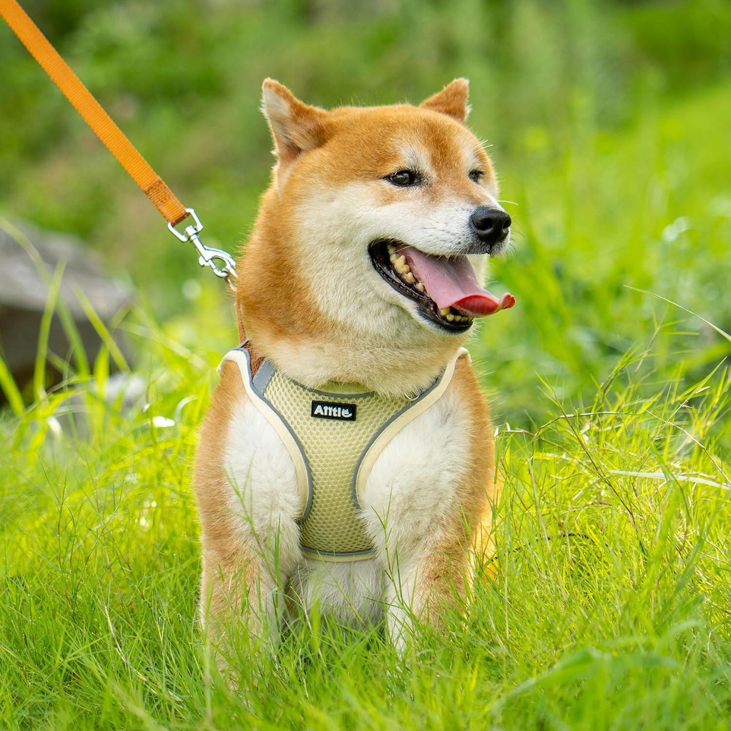 Arnés para Perros y Gatos AIITLE Beige XXXS Ajustable Reflectante