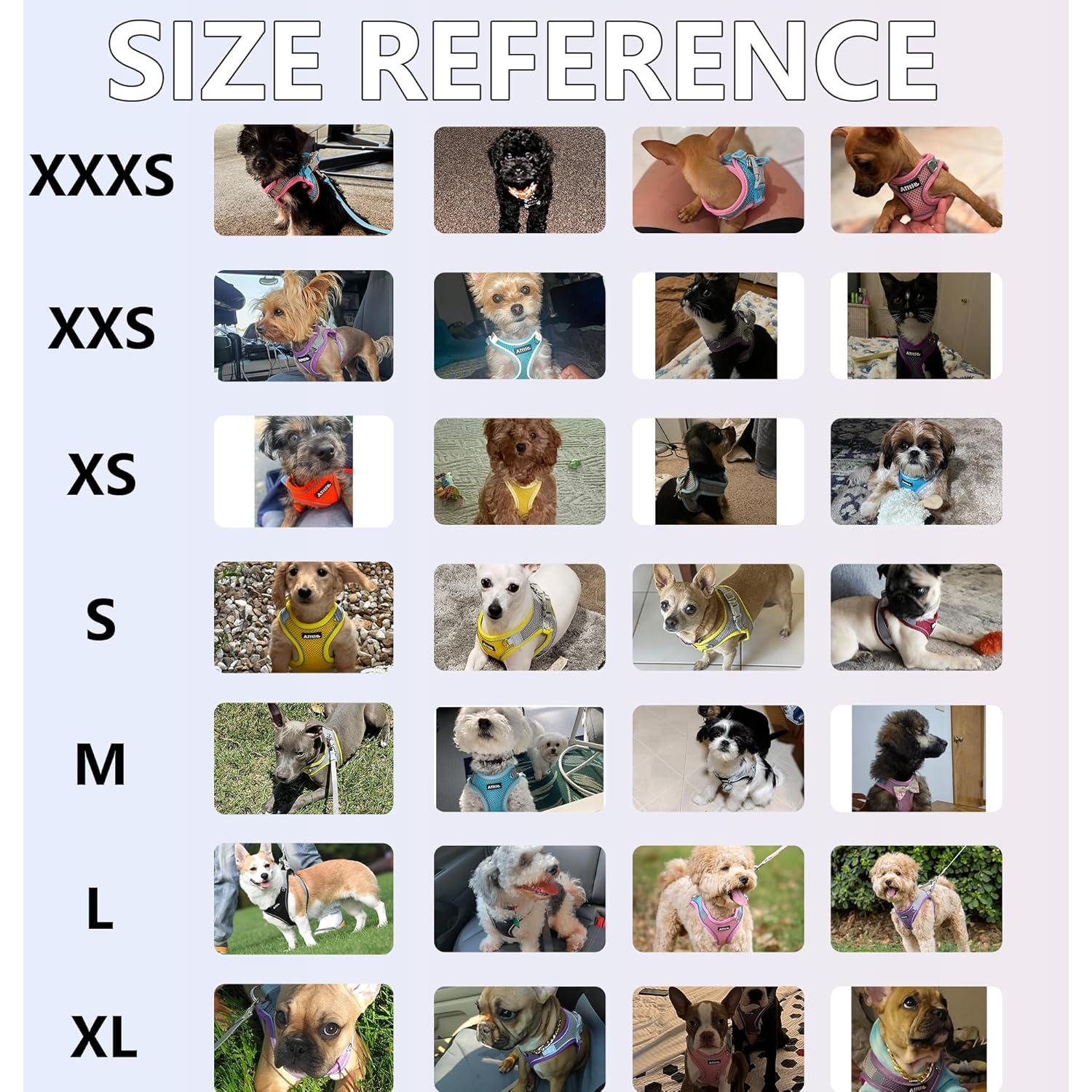 Arnés para Perros y Gatos AIITLE Beige XXXS Ajustable Reflectante