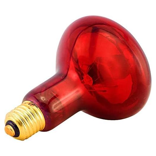 Bombilla de Calor Infrarroja Rojo 100W E26 BONGBADA