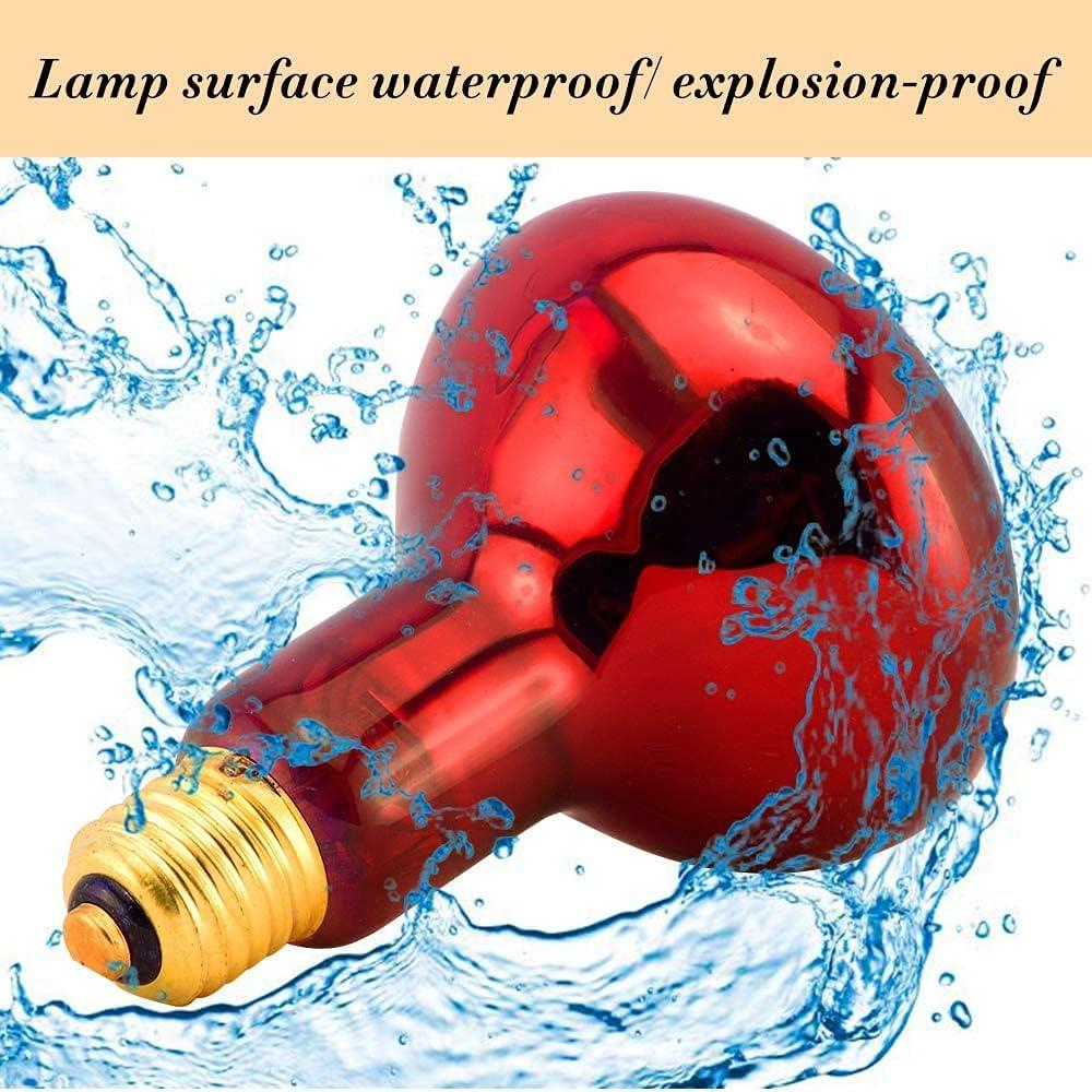 Bombilla de Calor Infrarroja Rojo 100W E26 BONGBADA