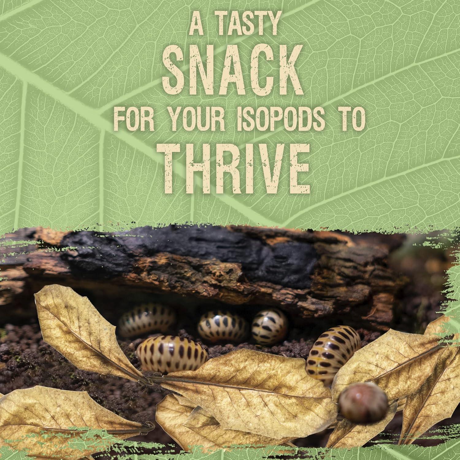 Hojas Secas de Almendra India Catappa SunGrow - Paquete de 10