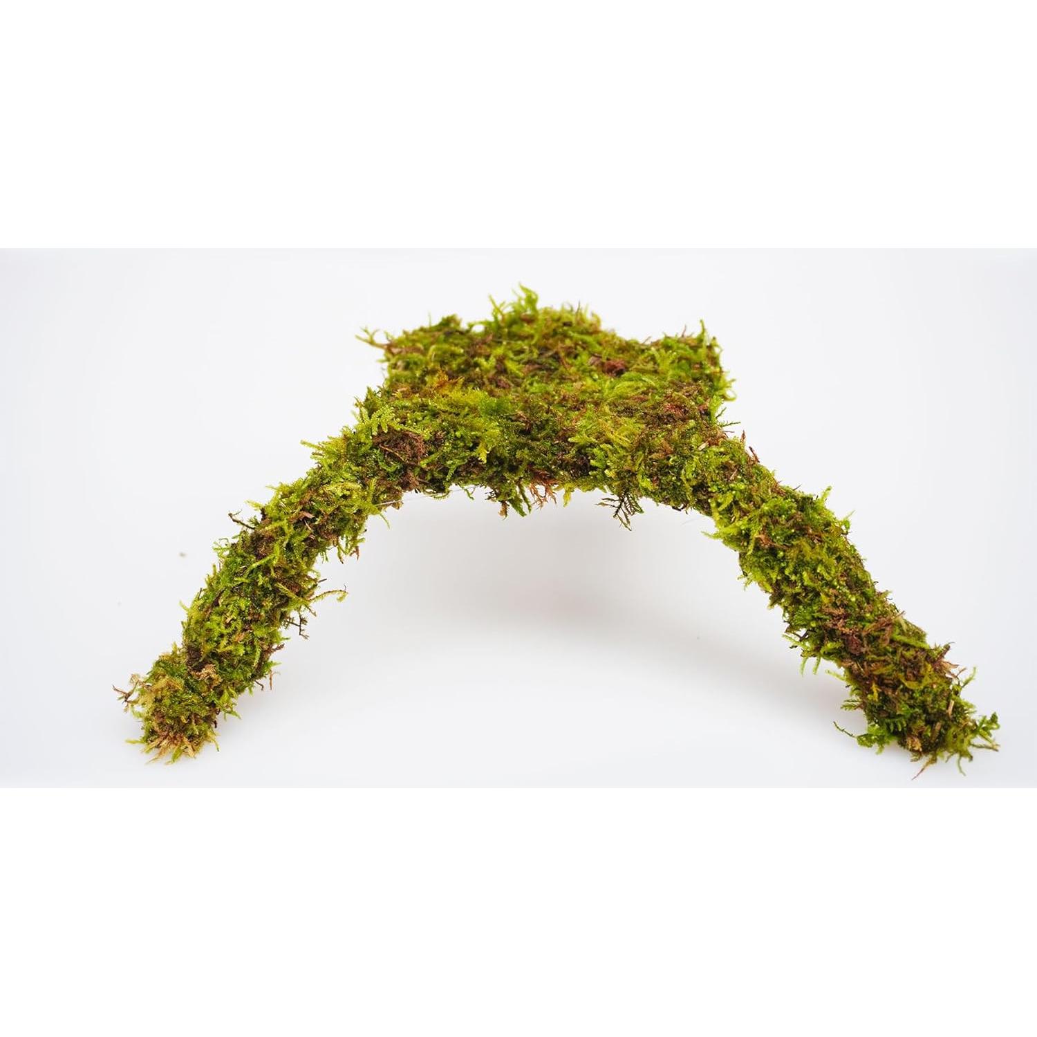 Plataforma de Escalada Mini para Cangrejos Ermitaños Jinymral 18.8x17.8cm