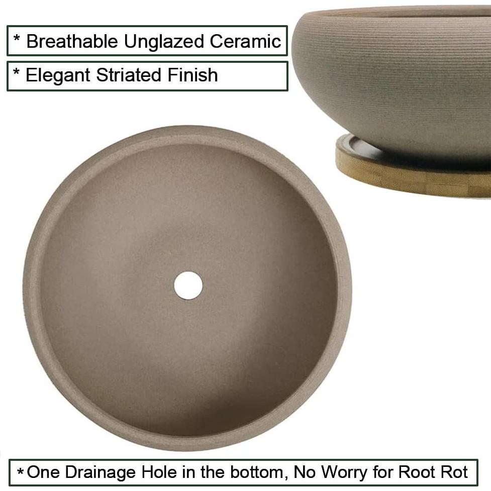 Maceta de Bonsai MUZHI Cerámica Redonda 20 cm con Bandeja
