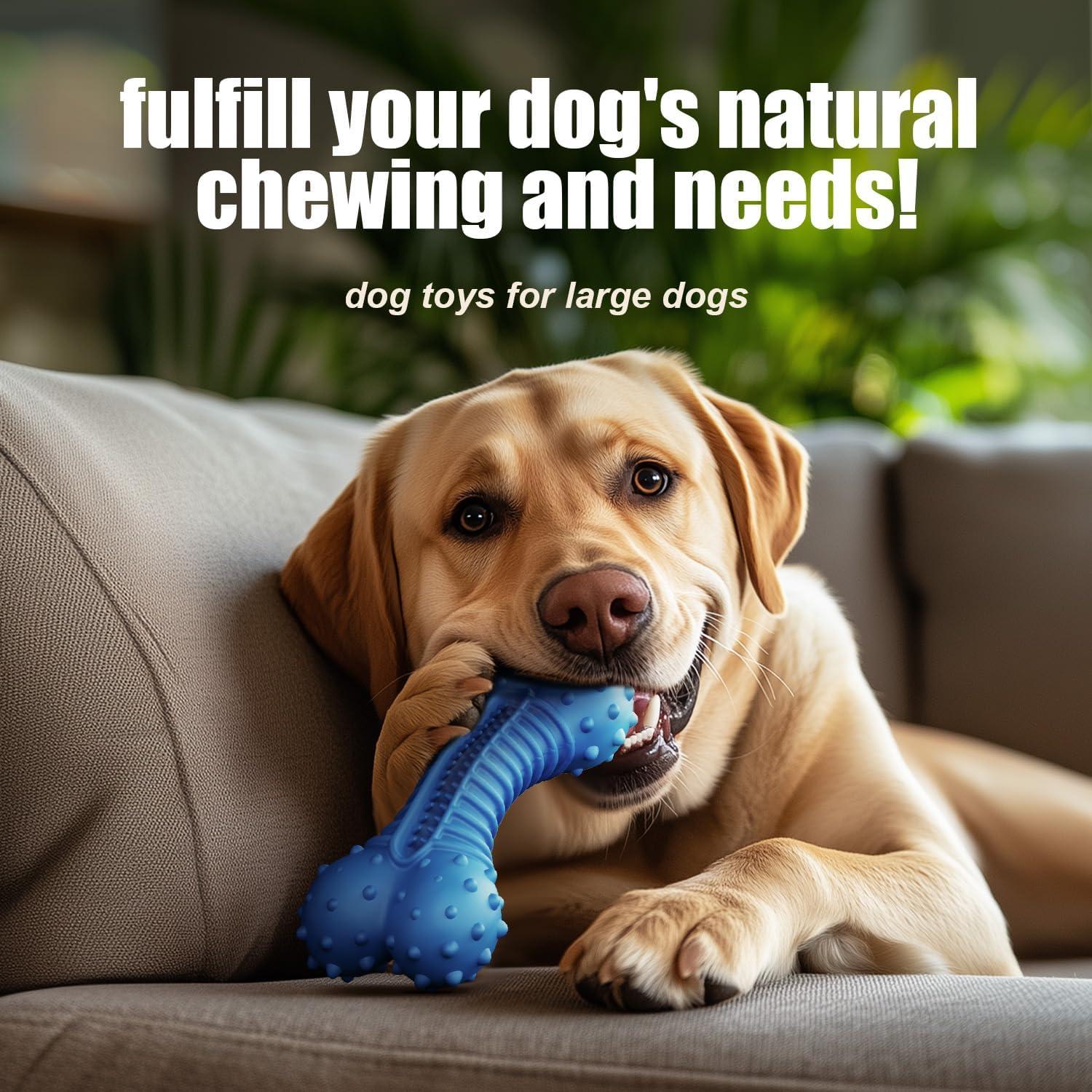 Juguete para Perros Ouilter Azul 19.5x5.8cm Caucho Natural