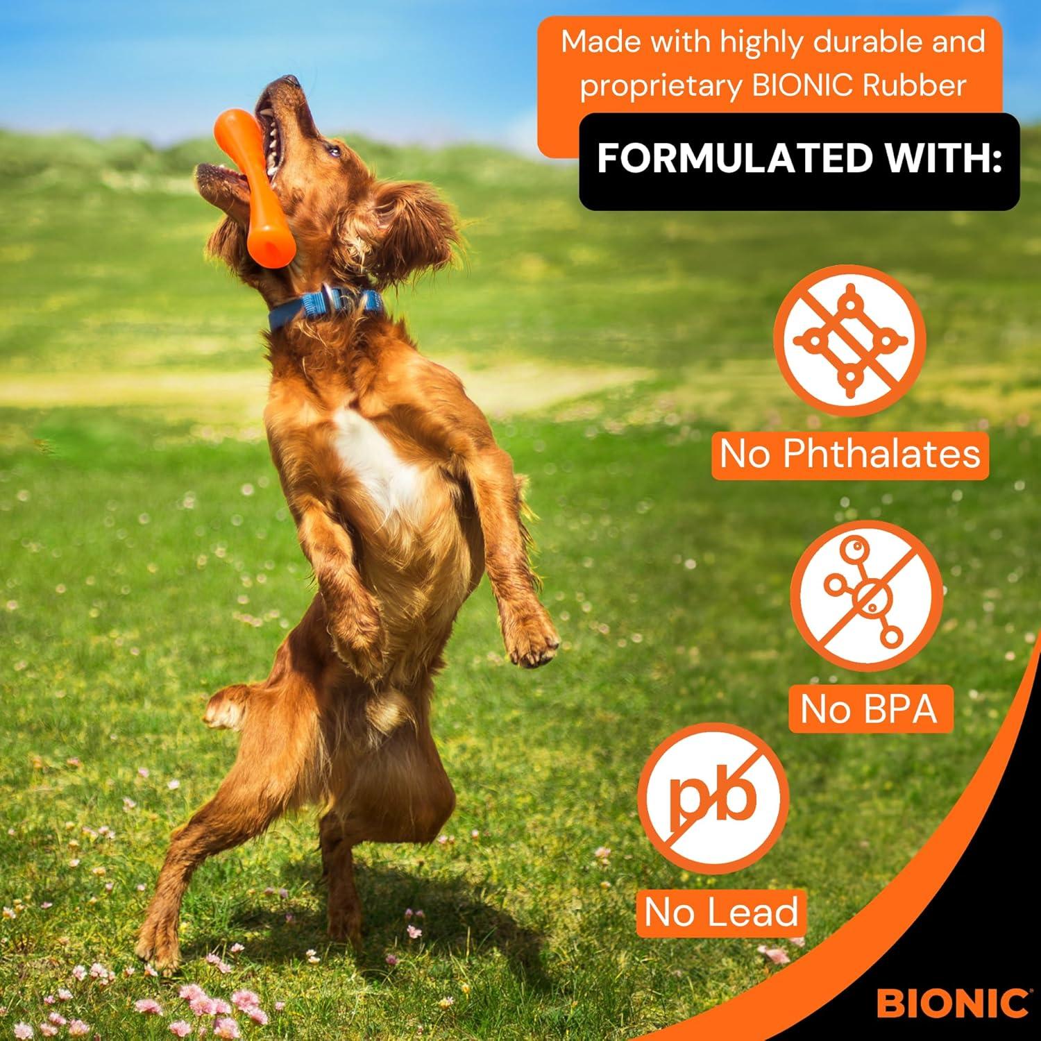 BIONIC Urban Stick Juguete Interactivo para Perros Pequeños