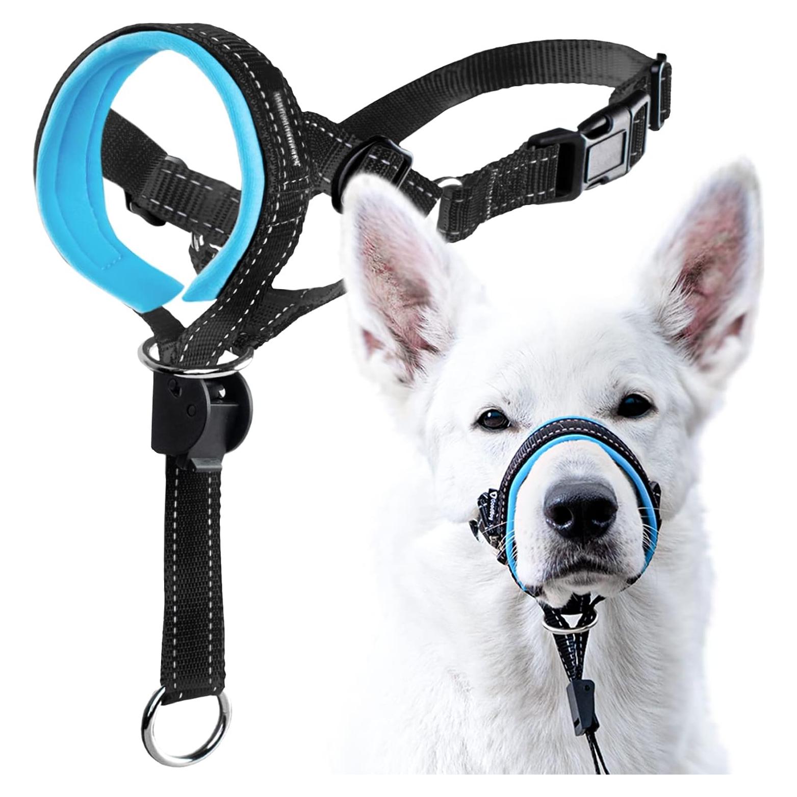 GoodBoy Arnés de Cabeza para Perros - Tamaño 1 Azul