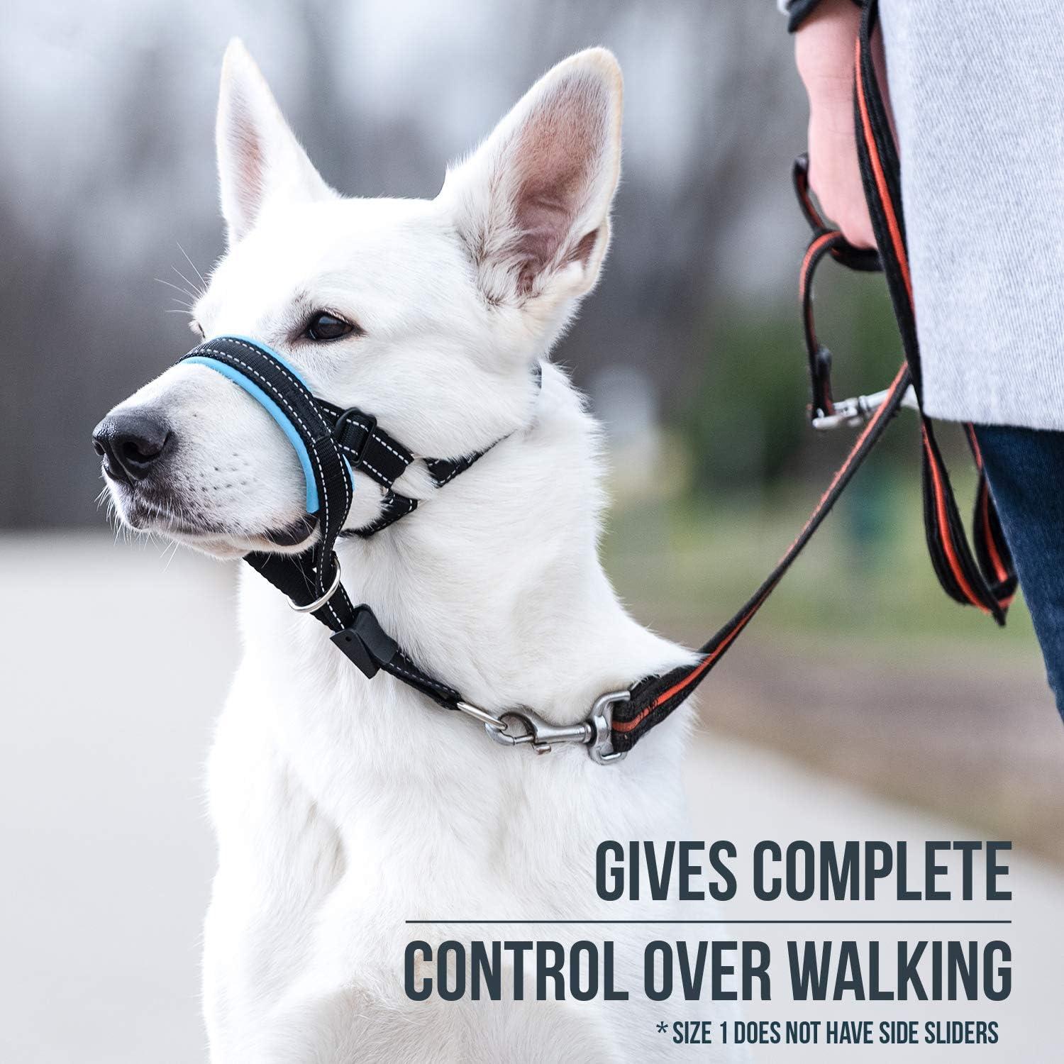 GoodBoy Arnés de Cabeza para Perros - Tamaño 1 Azul