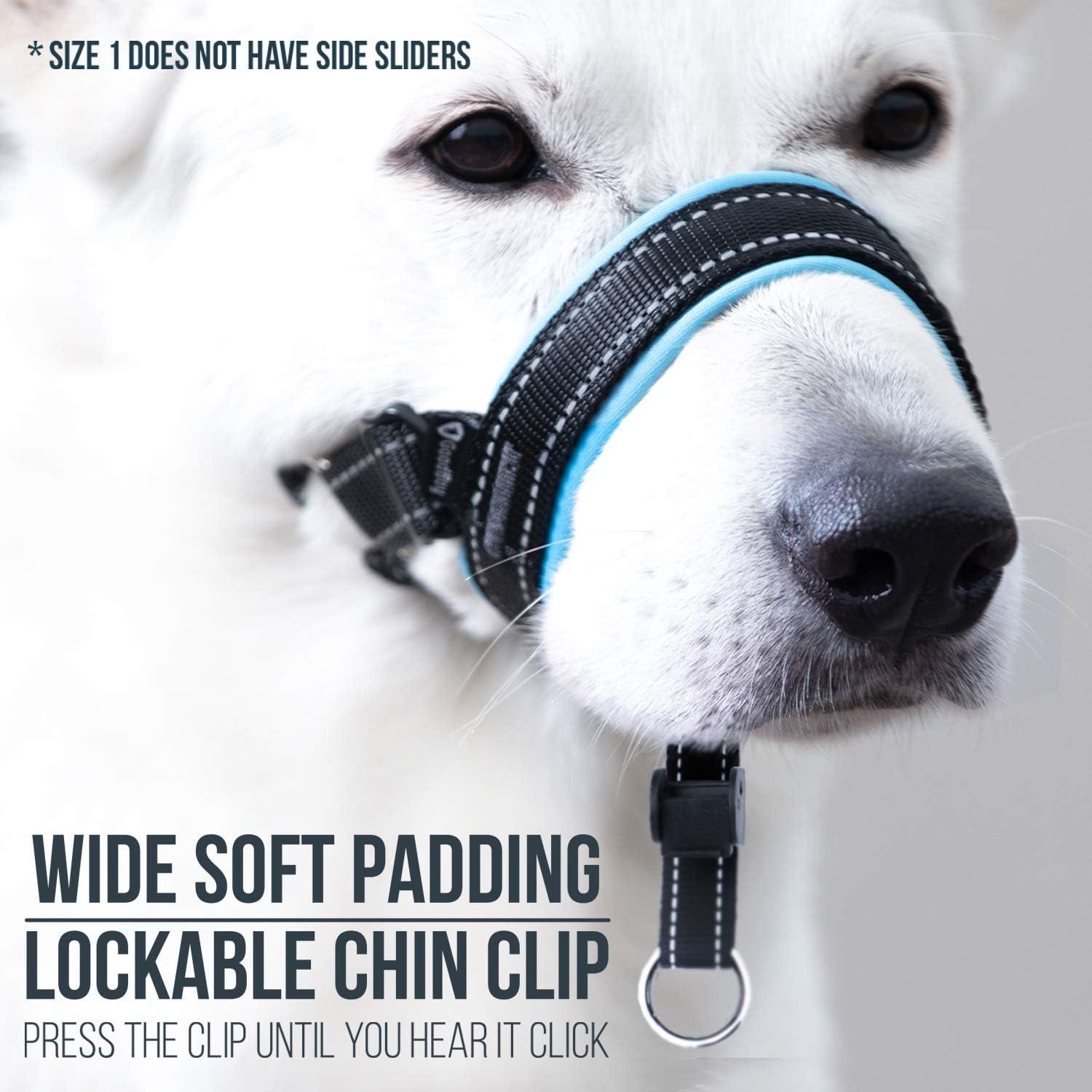 GoodBoy Arnés de Cabeza para Perros - Tamaño 1 Azul