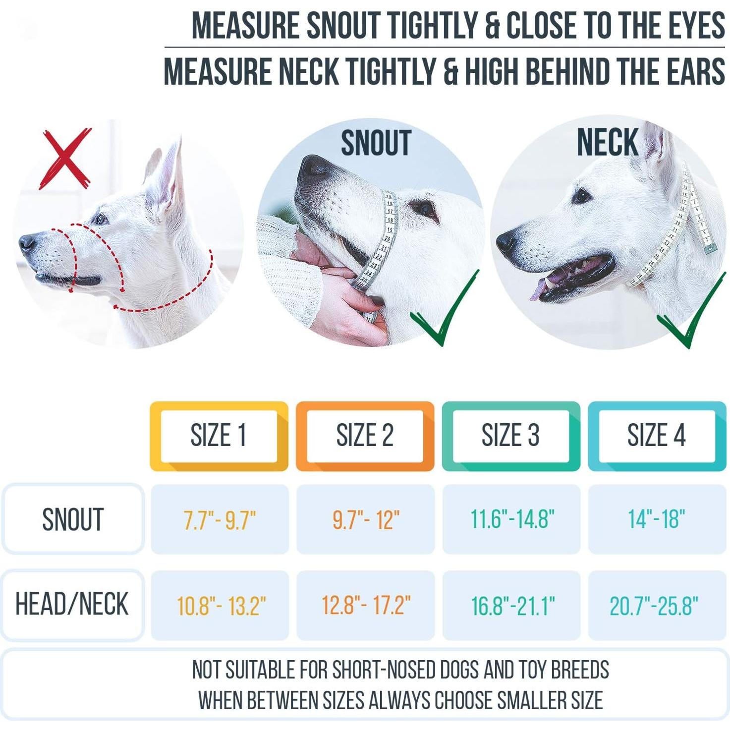 GoodBoy Arnés de Cabeza para Perros - Tamaño 1 Azul