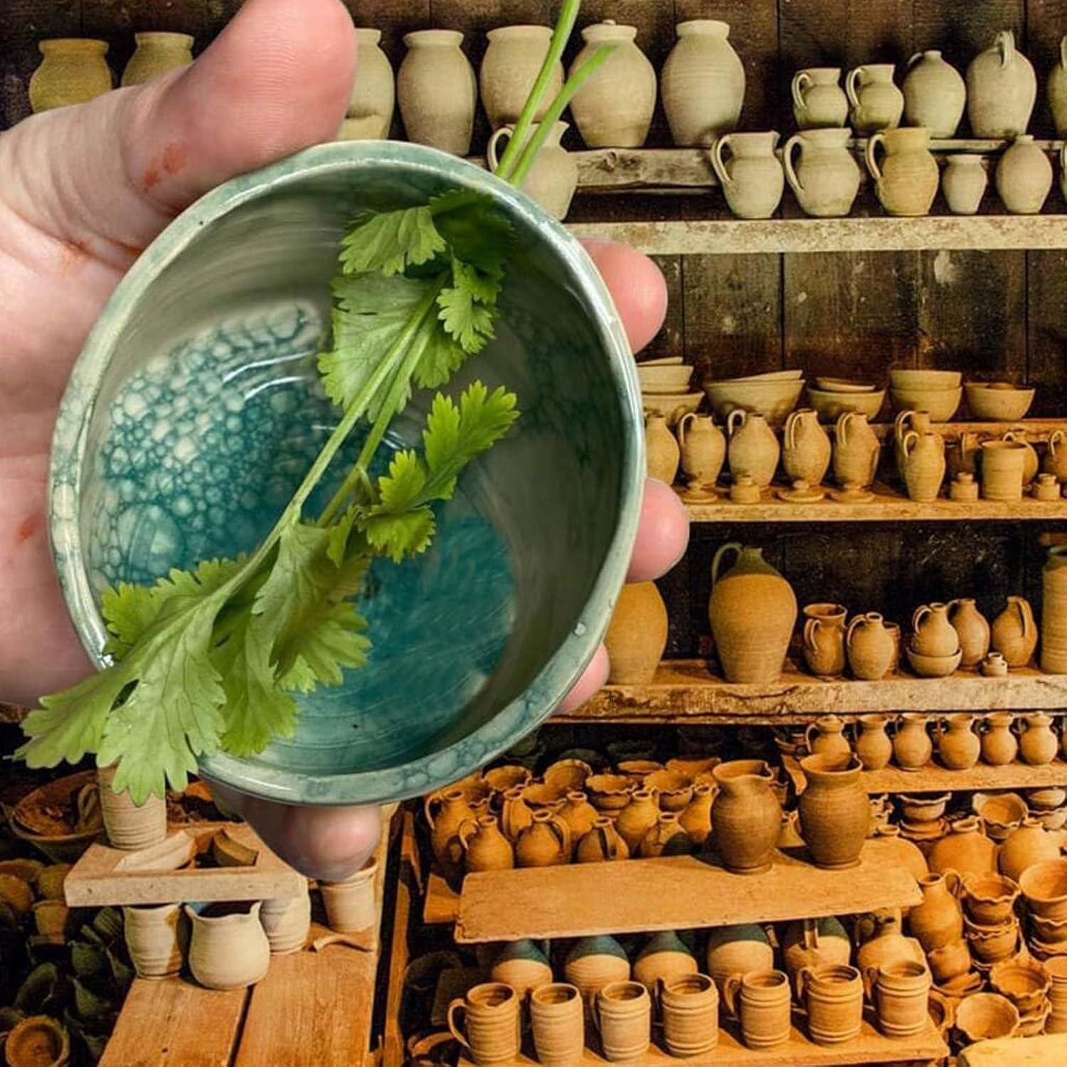 Tazón Deshojador de Hierbas Cerámica Genérico 0.1cm