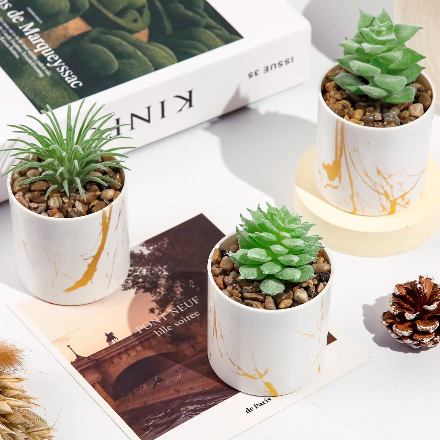 Conjunto de 4 Plantas Suculentas Artificiales Der Rose Verde