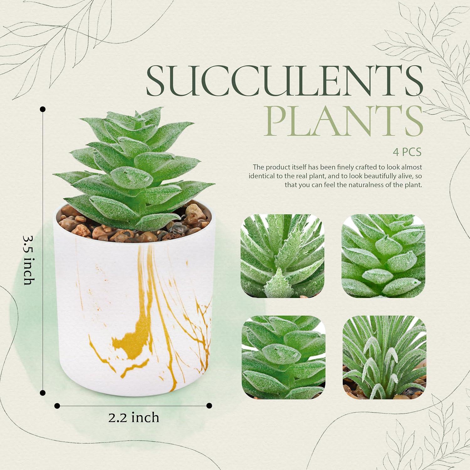 Conjunto de 4 Plantas Suculentas Artificiales Der Rose Verde