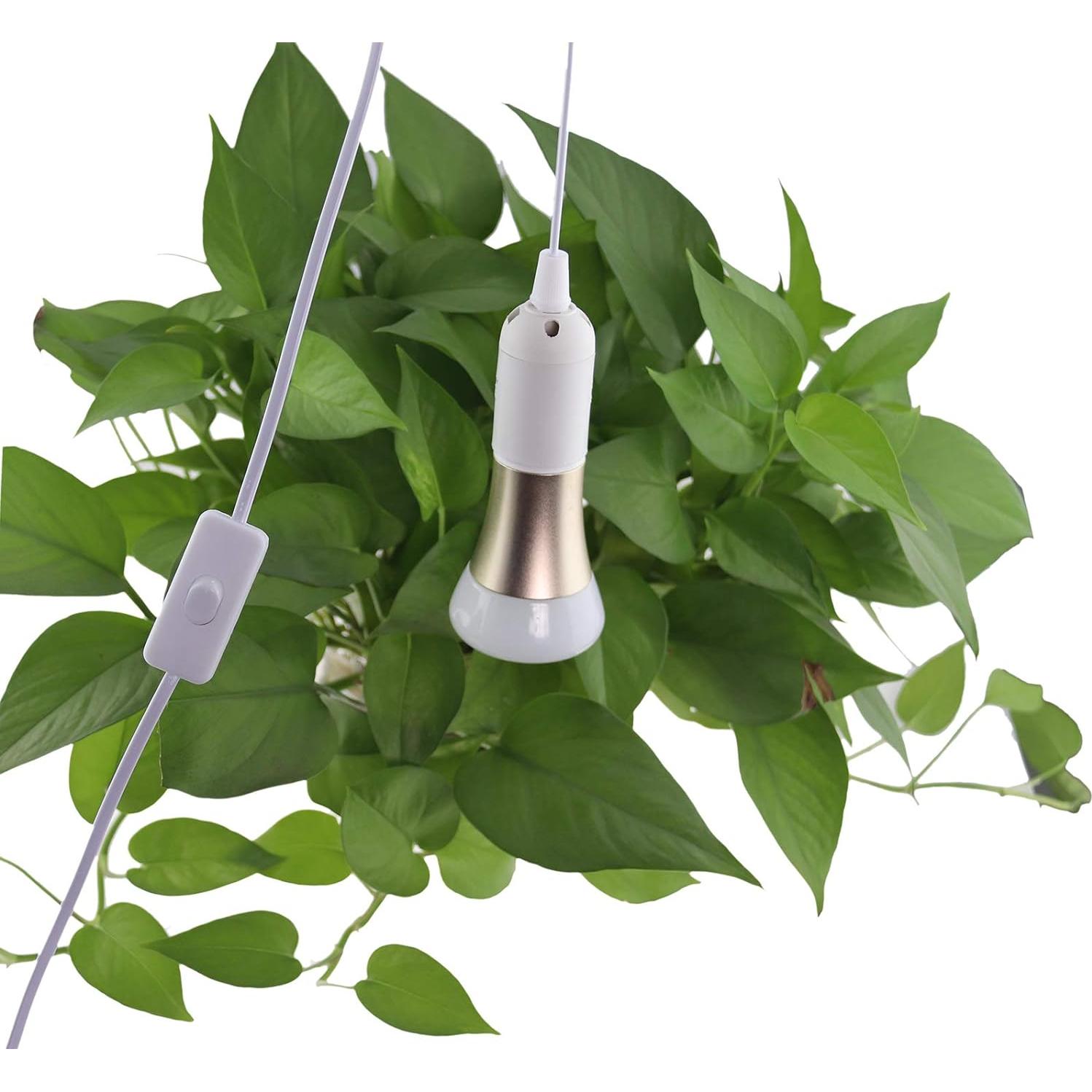 Rextin 2 Packs Cable de Extensión 1.8m E26/E27 con Interruptor