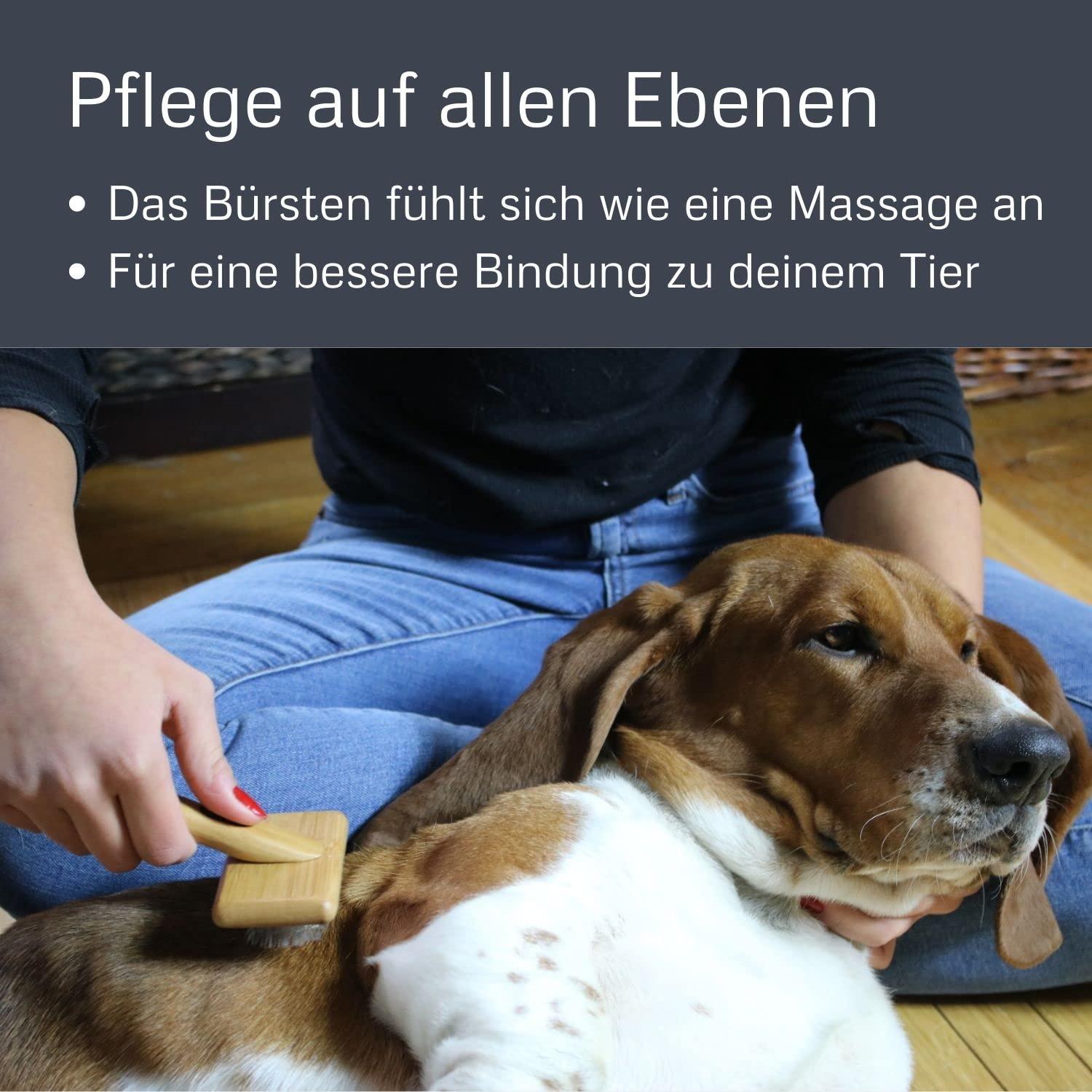 Cepillo Slicker de Bambú Alcott para Mascotas Pequeño